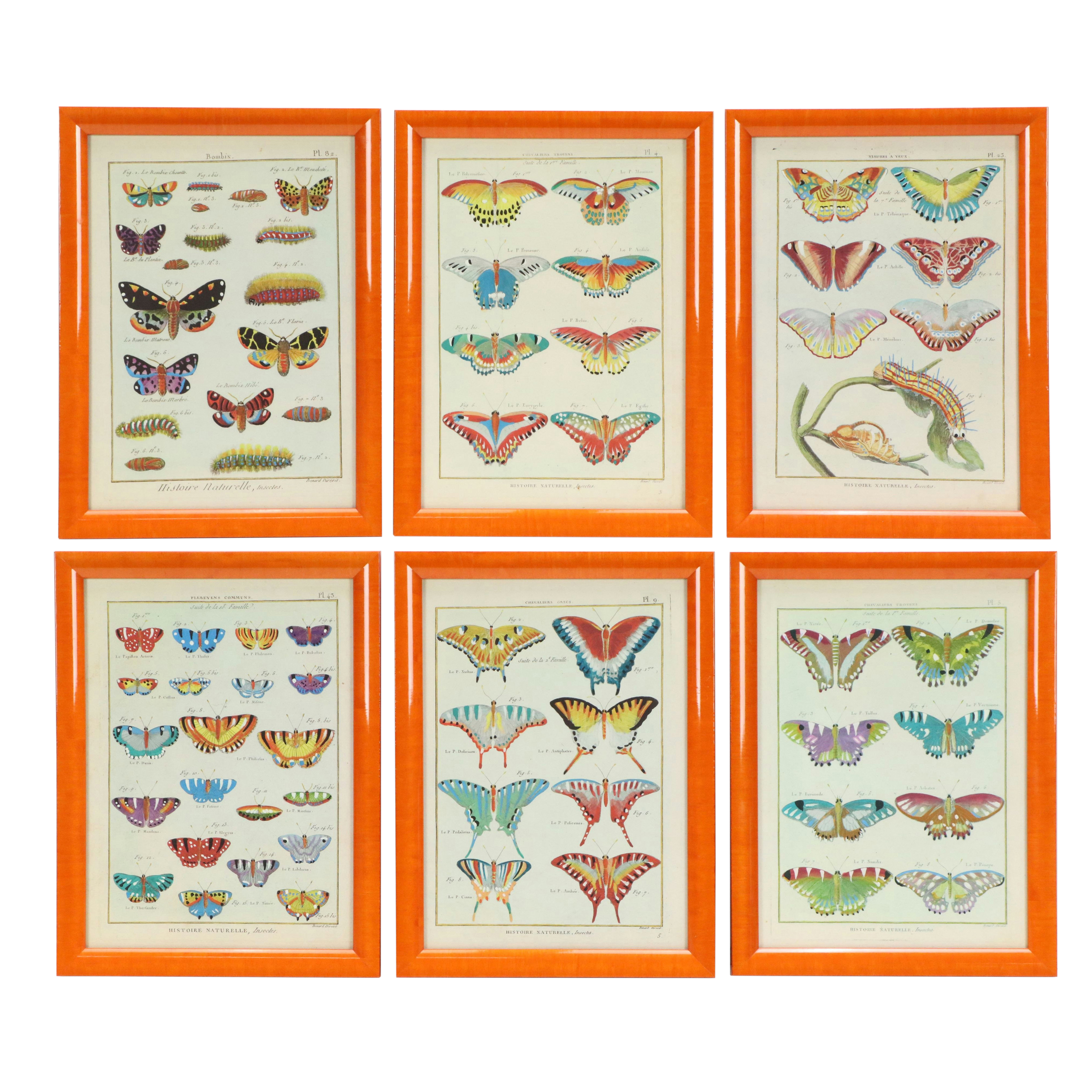 Hand-Colored Giclees of Butterflies from "Histoire Naturelle, Insectes"