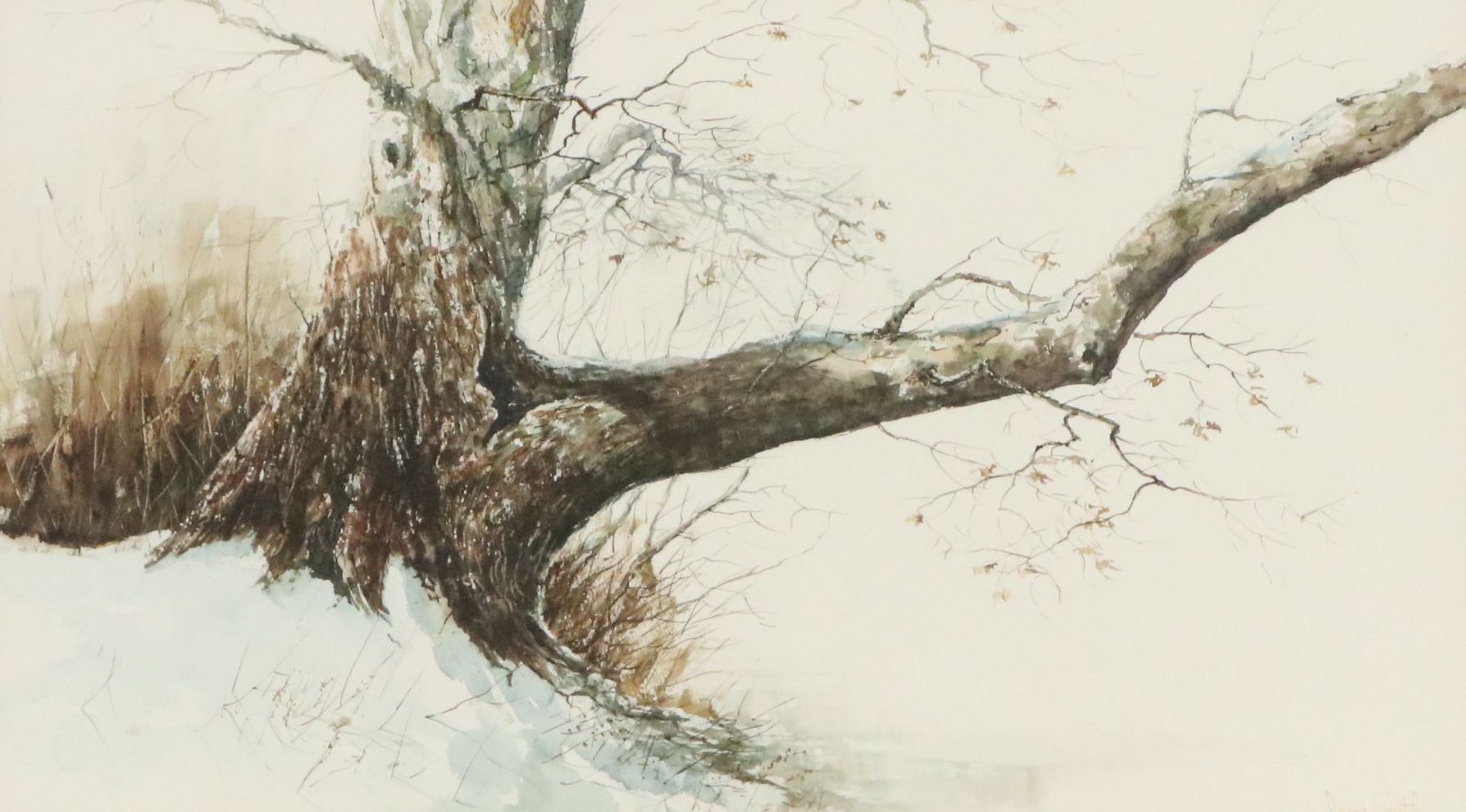 Jerry Smith Watercolor Painting of Tree, Late 20th to 21st Century