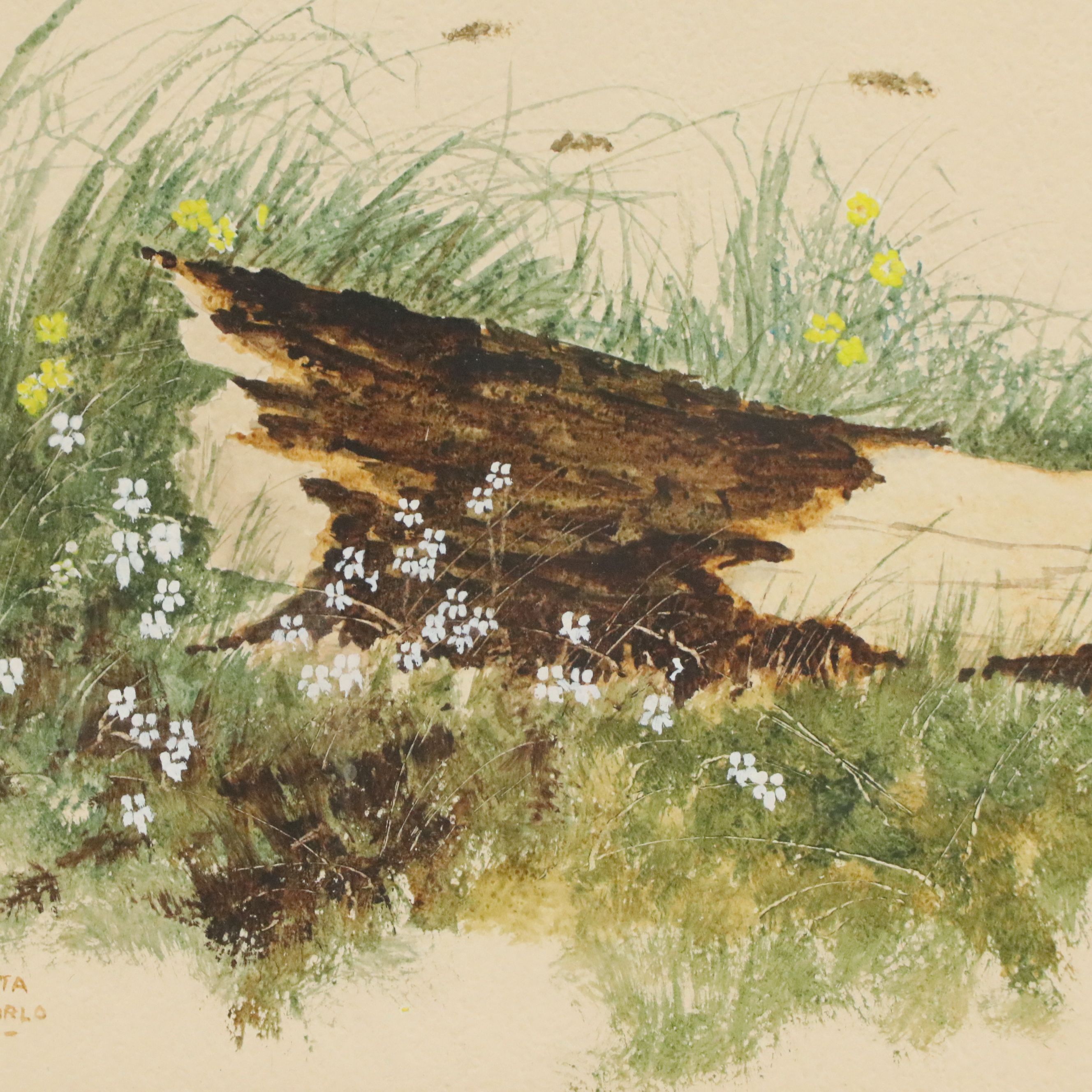 Rita Karlo Watercolor Painting of Wildflowers and Fallen Log, Mid to Late 20th C