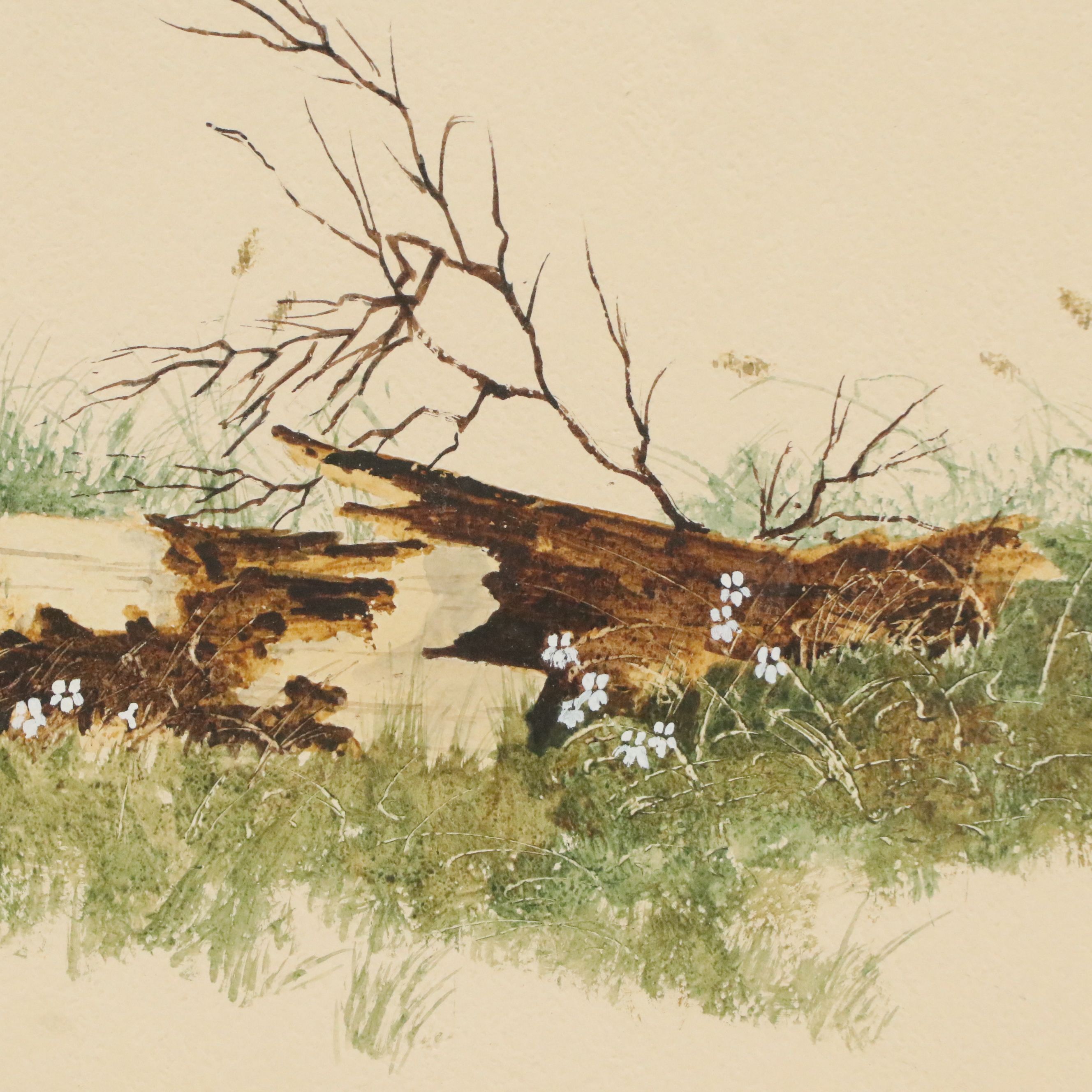 Rita Karlo Watercolor Painting of Wildflowers and Fallen Log, Mid to Late 20th C