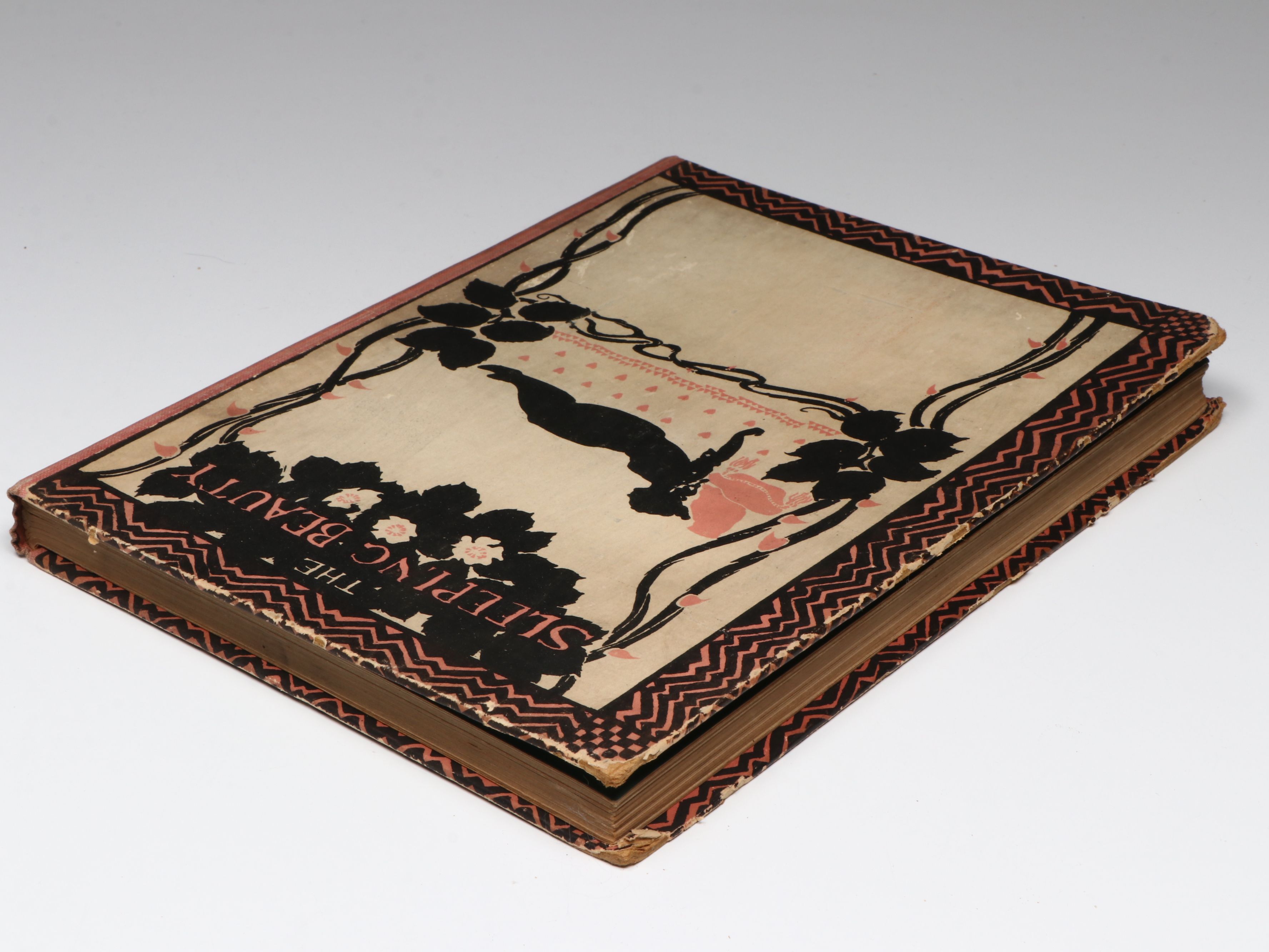 Arthur Rackham Illustrated First Edition "The Sleeping Beauty" by C. S. Evans