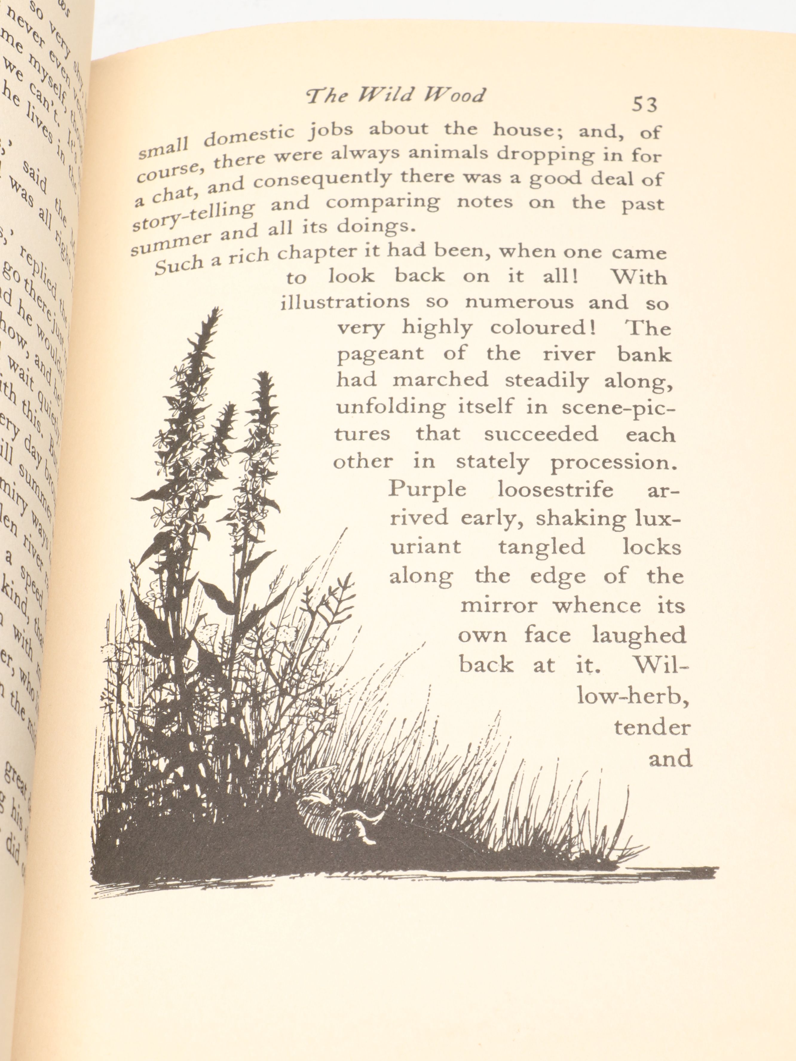 Illustrated "The Wind in the Willows" by Kenneth Grahame, 1933