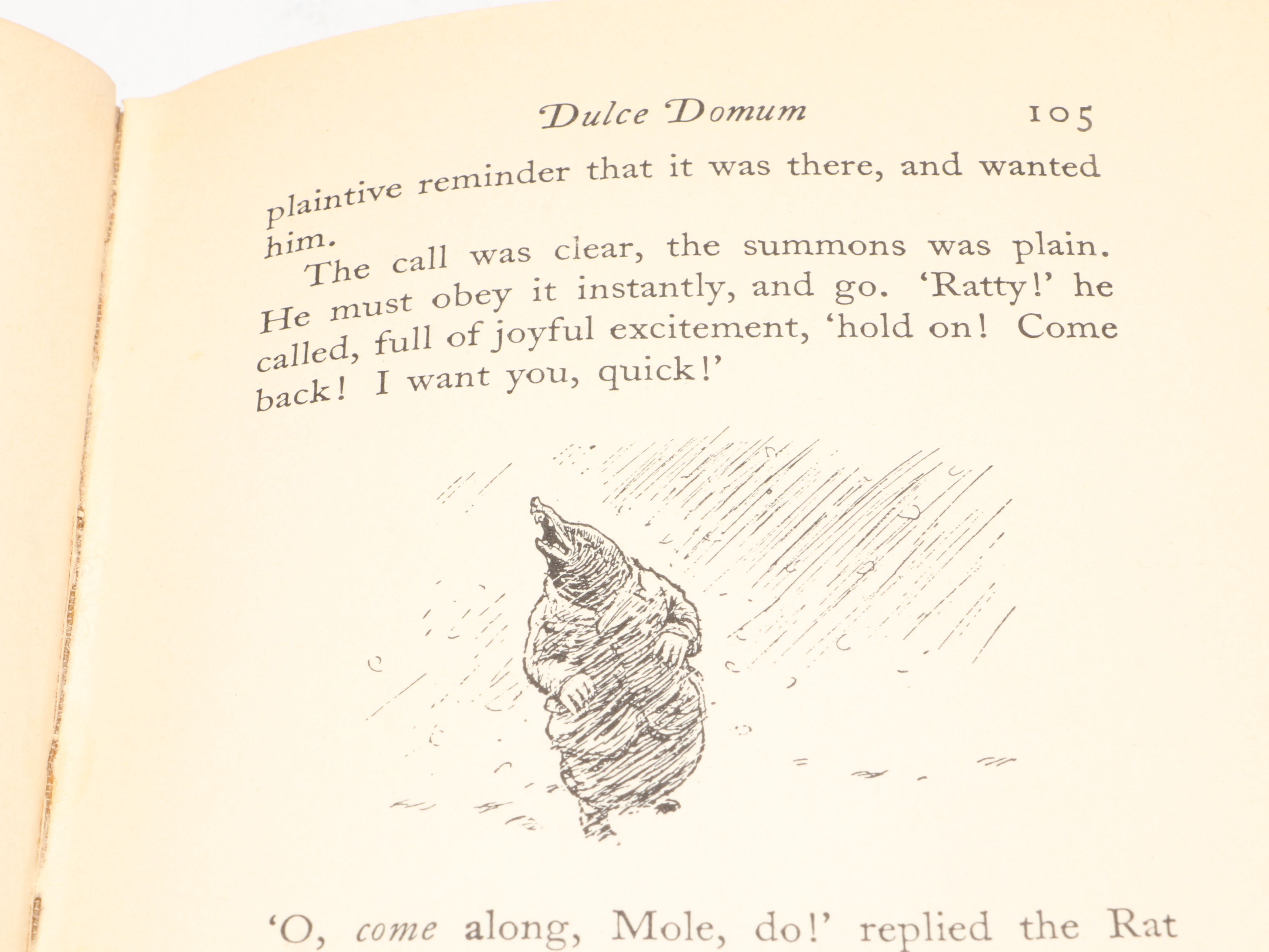 Illustrated "The Wind in the Willows" by Kenneth Grahame, 1933