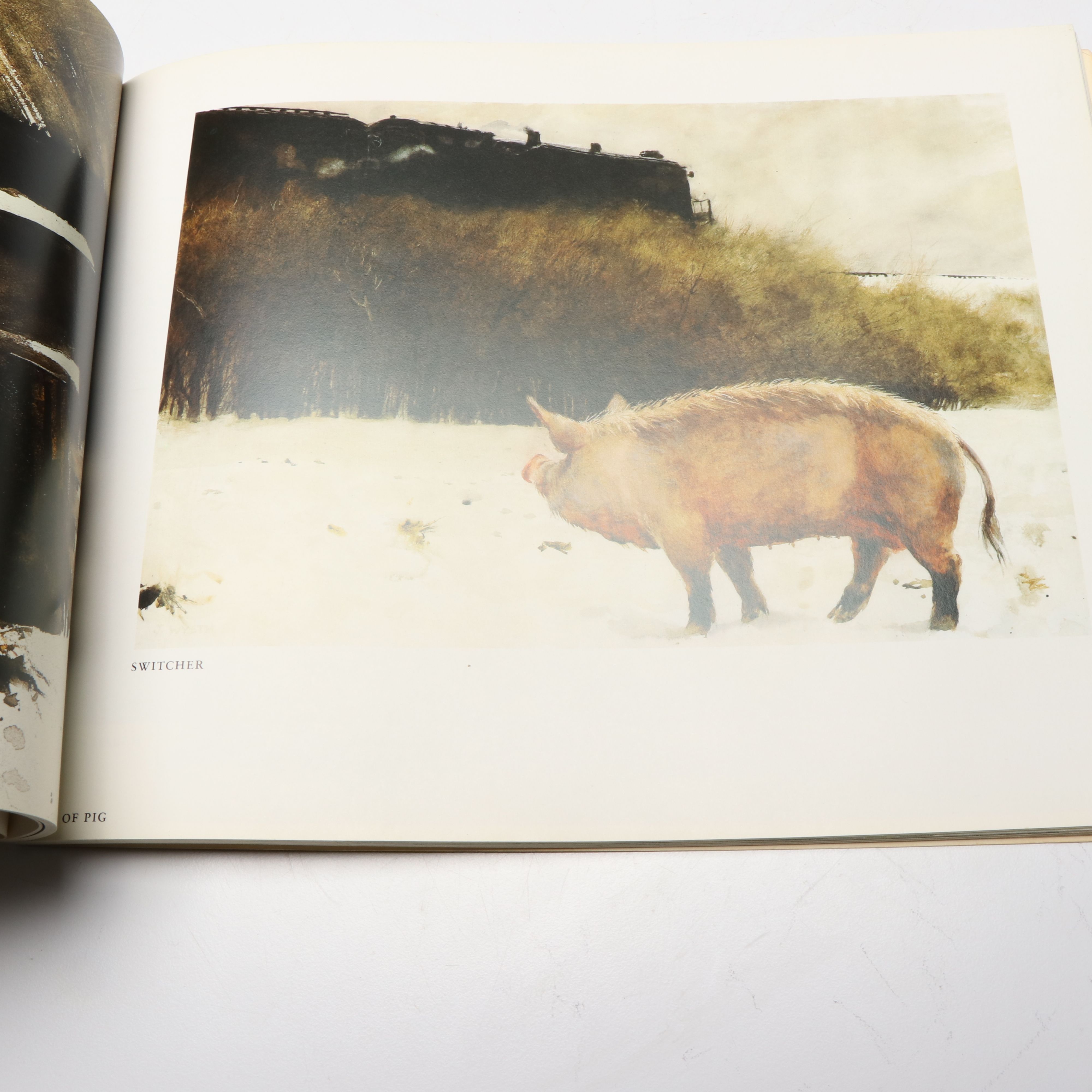 "Andrew Wyeth: The Helga Pictures" by John Wilmerding and More Wyeth Art Books