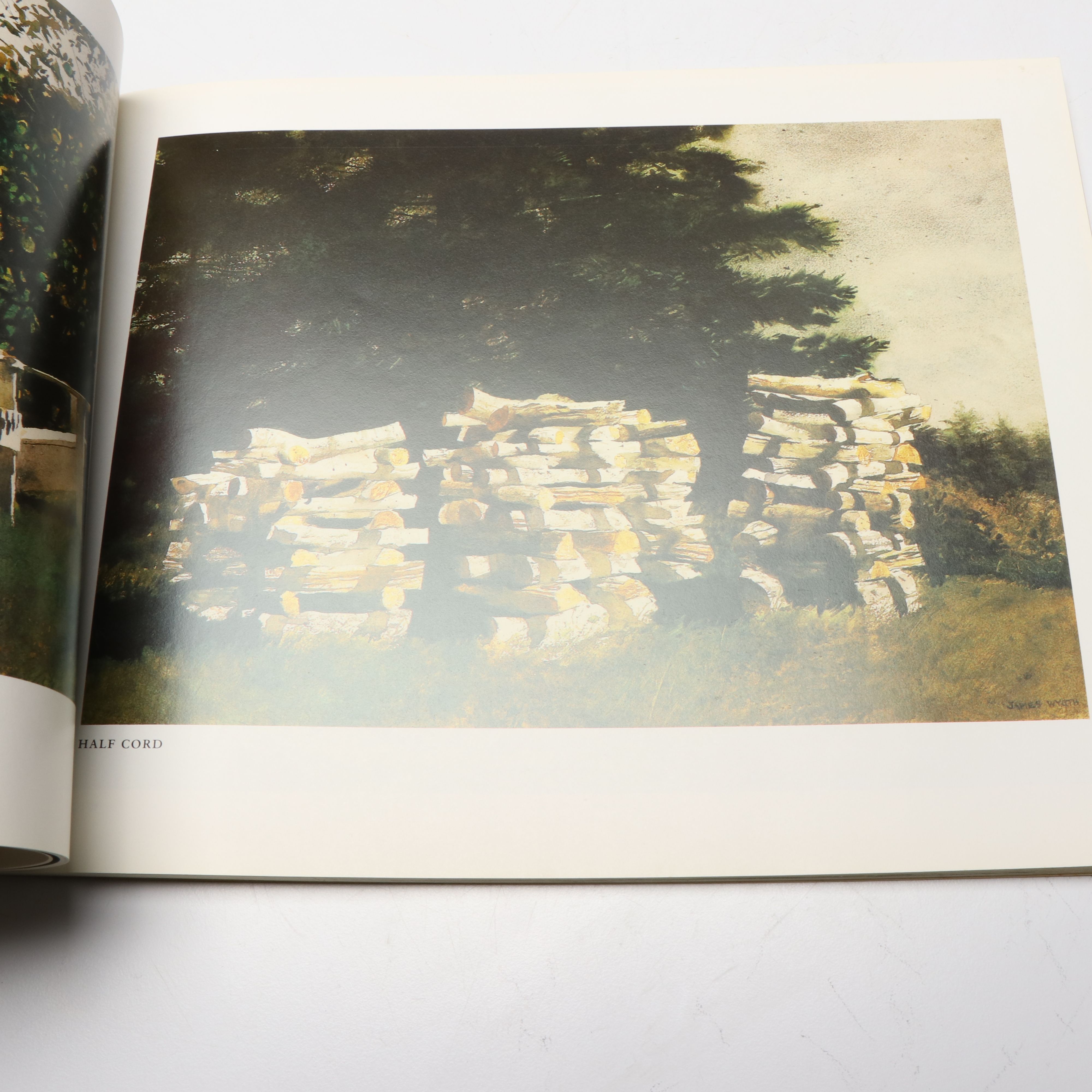 "Andrew Wyeth: The Helga Pictures" by John Wilmerding and More Wyeth Art Books