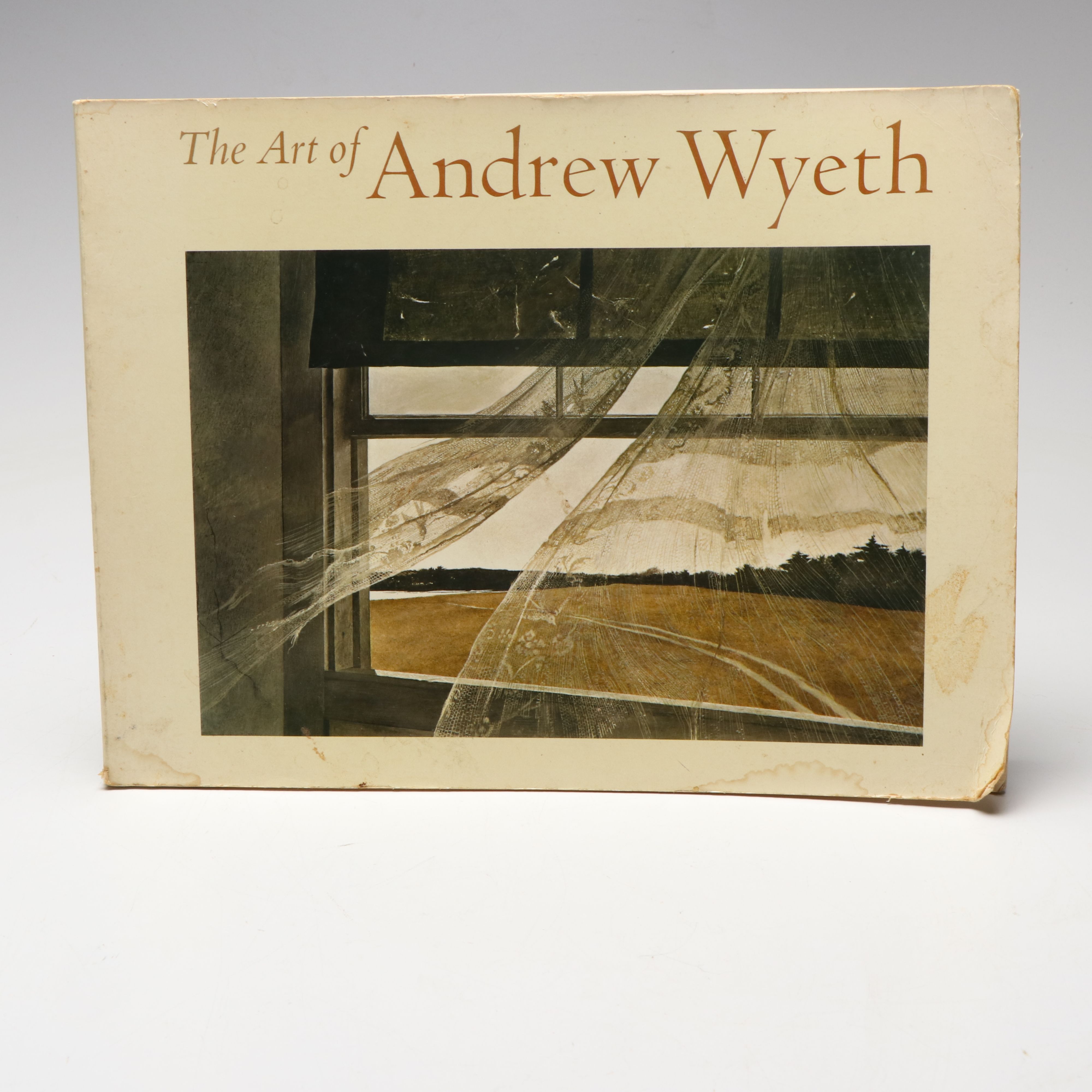 "Andrew Wyeth: The Helga Pictures" by John Wilmerding and More Wyeth Art Books