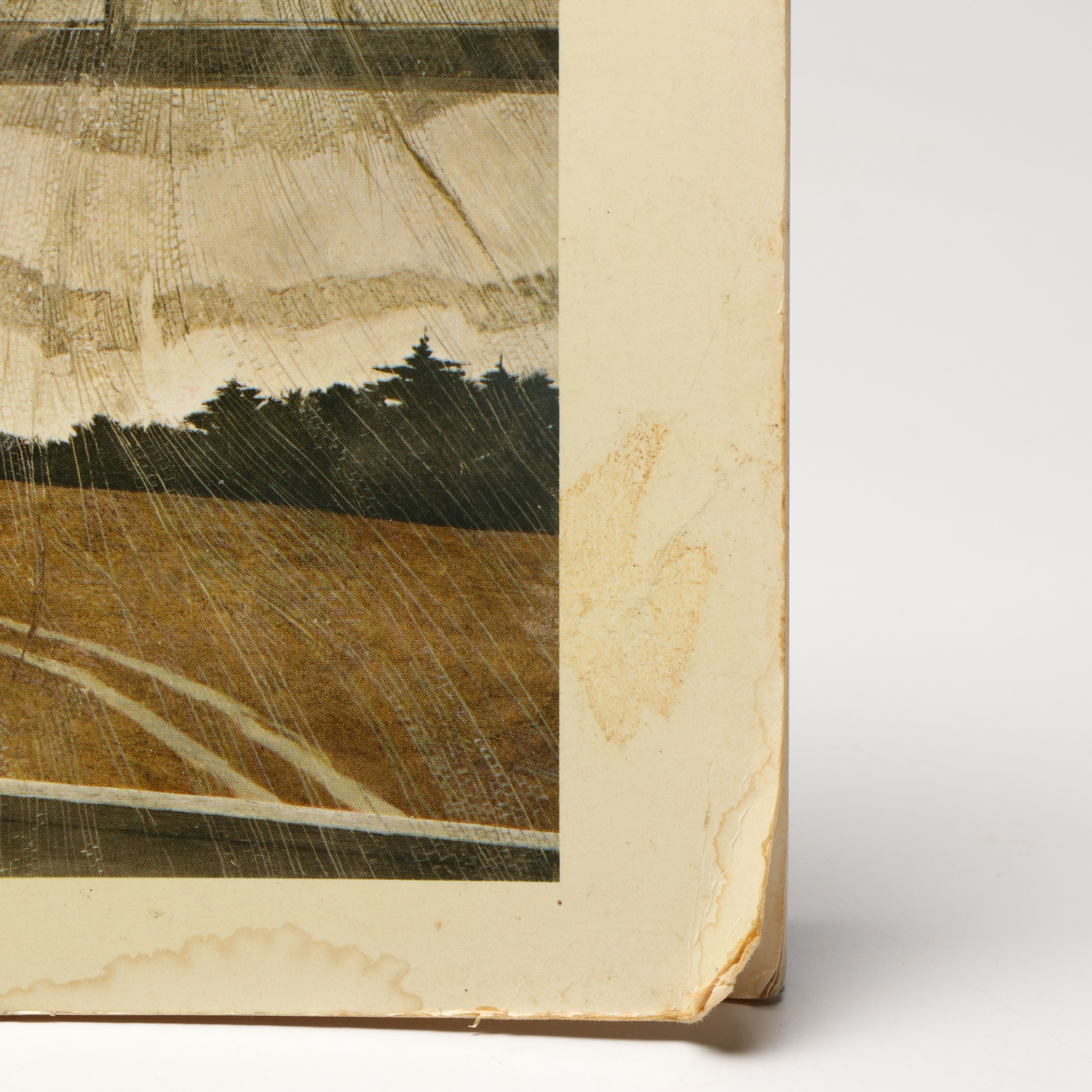 "Andrew Wyeth: The Helga Pictures" by John Wilmerding and More Wyeth Art Books