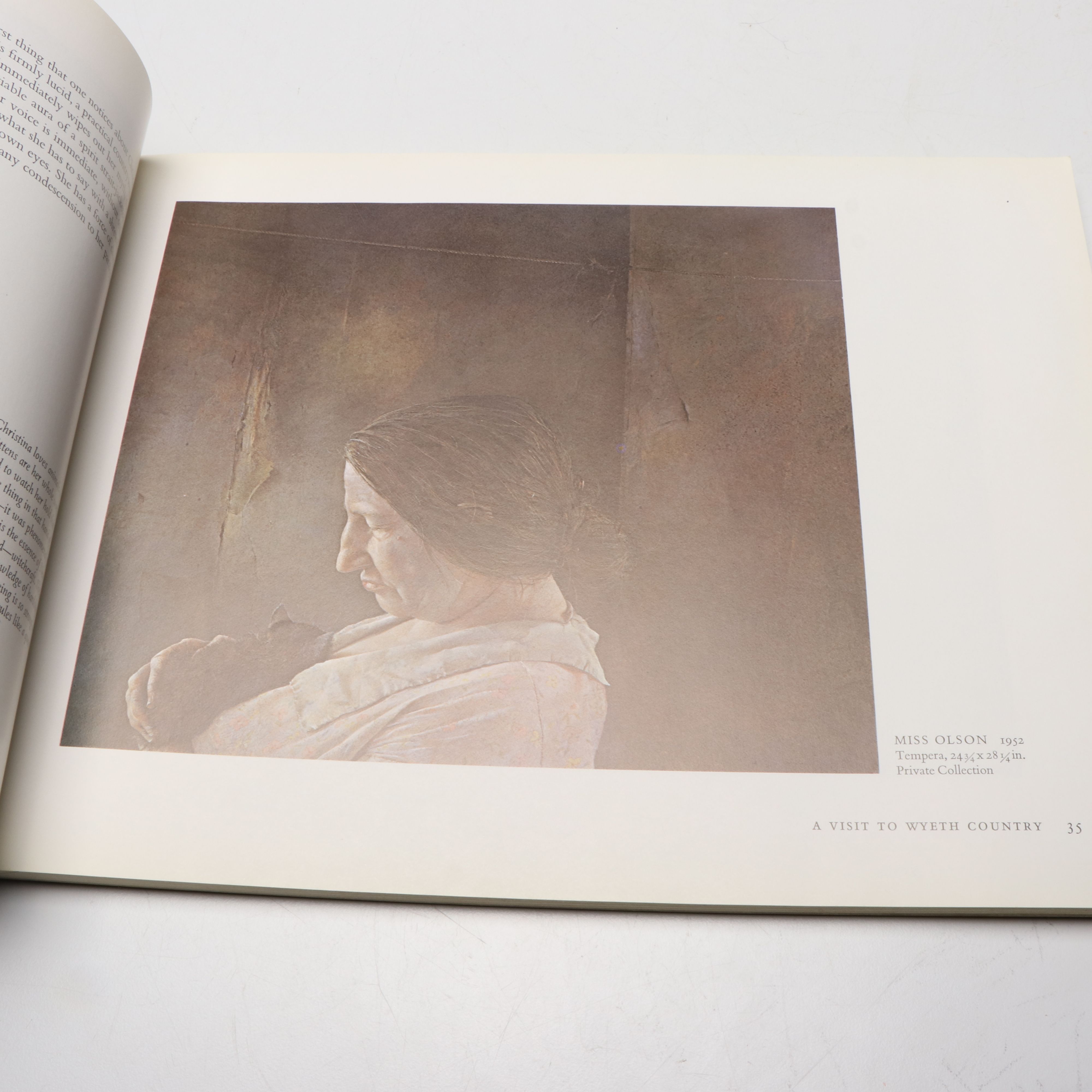 "Andrew Wyeth: The Helga Pictures" by John Wilmerding and More Wyeth Art Books