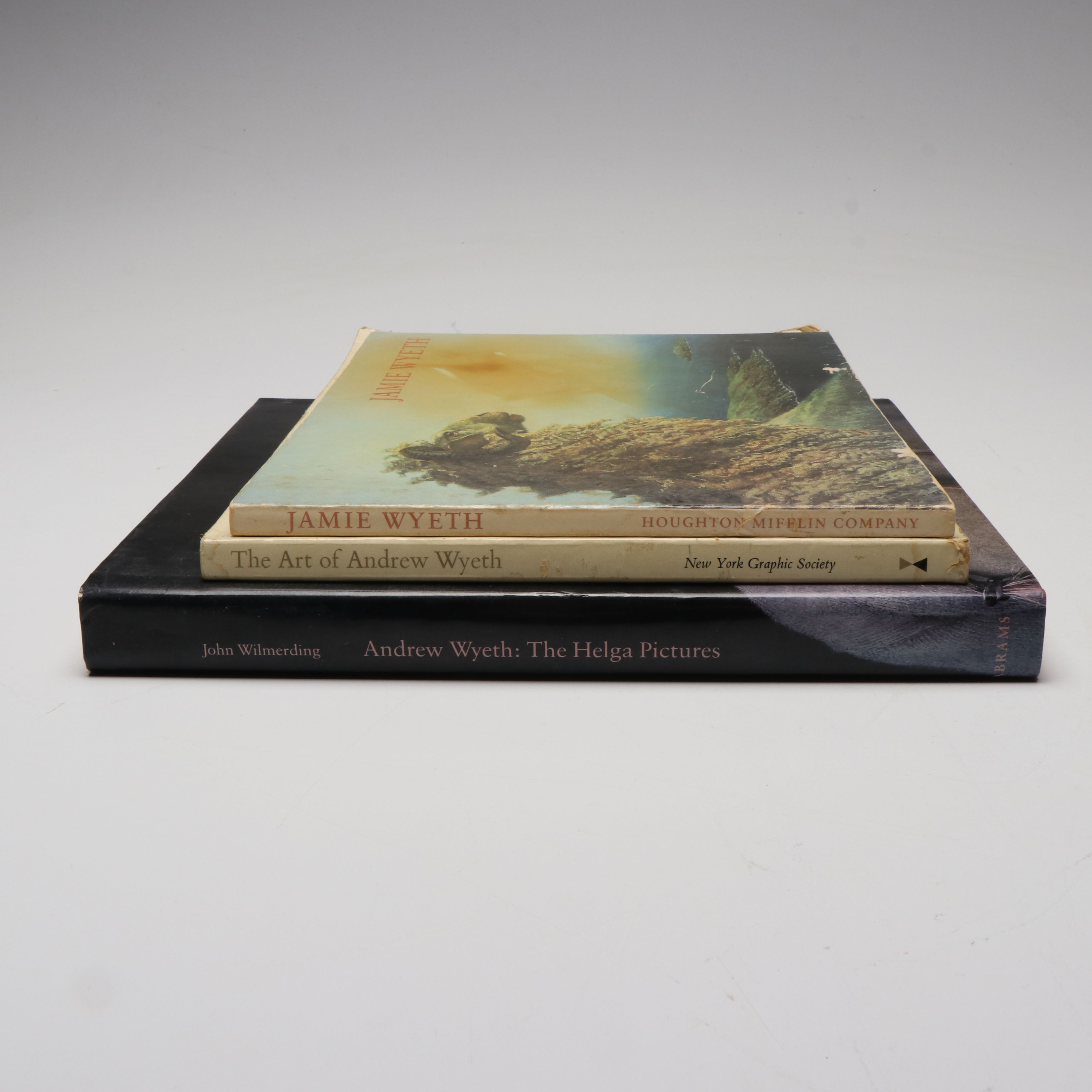 "Andrew Wyeth: The Helga Pictures" by John Wilmerding and More Wyeth Art Books
