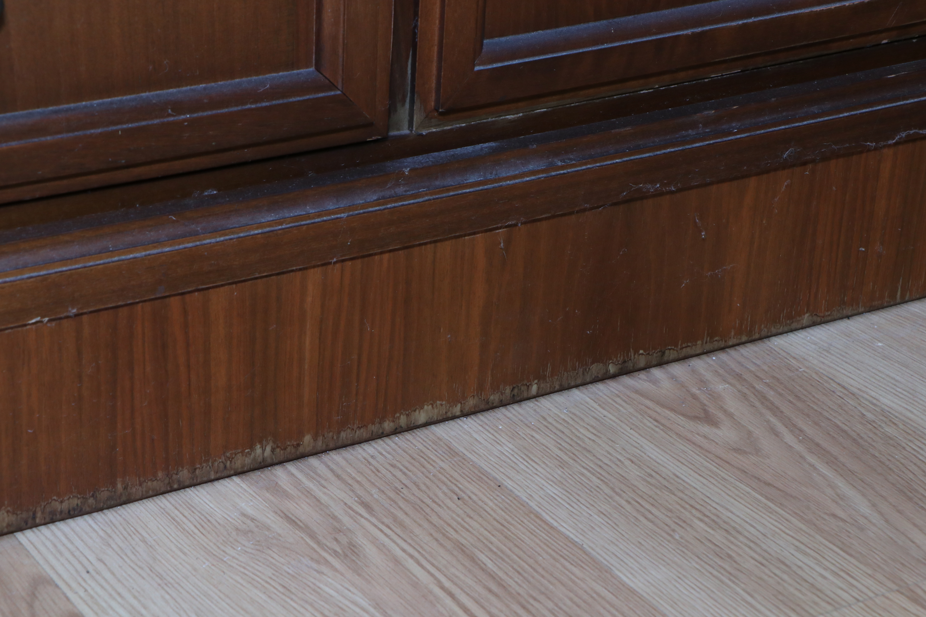 Large Traditional Walnut Library Wall Unit, Late 20th Century