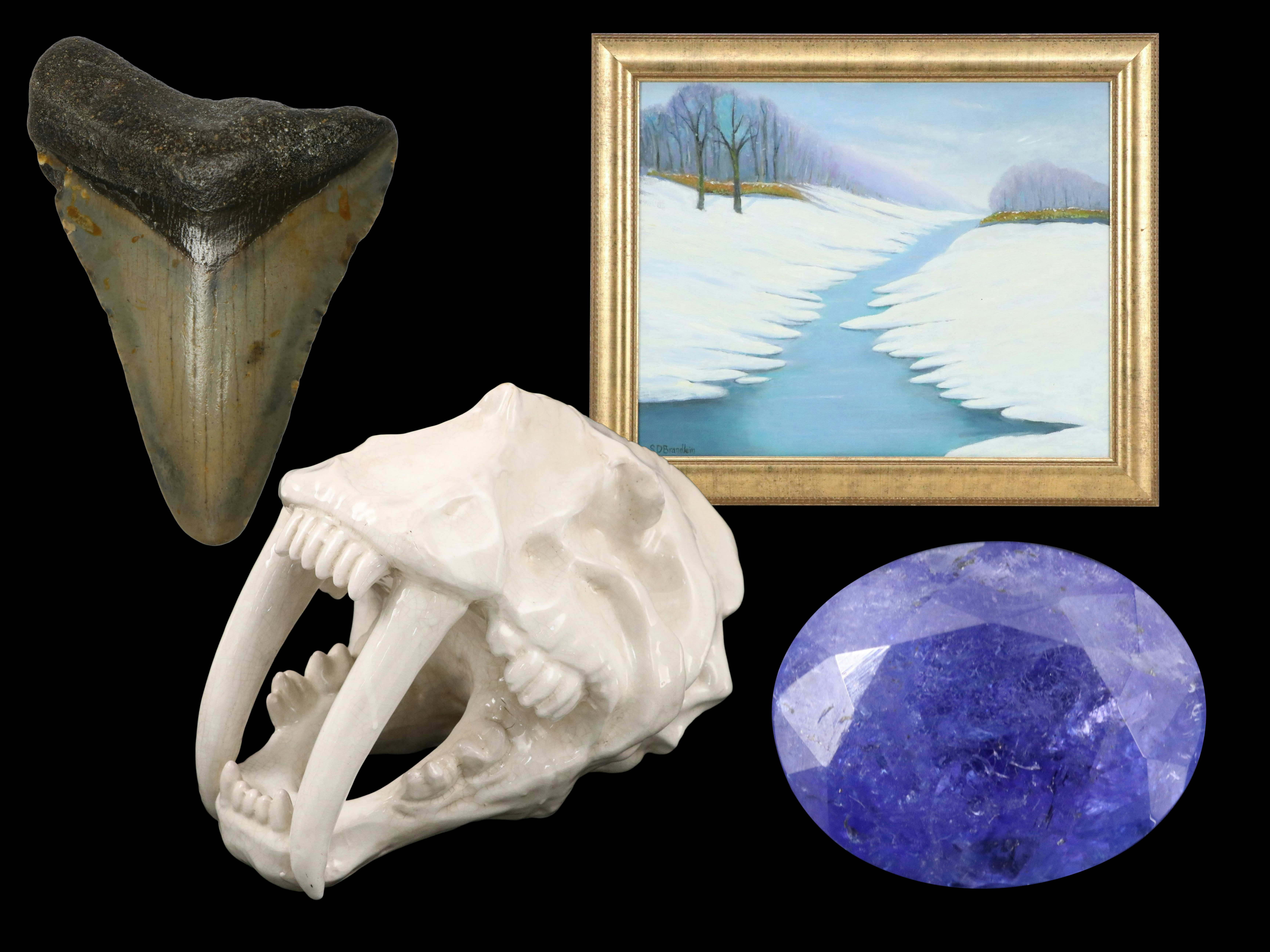 Nature’s Treasures: Fine Gemstones, Wildlife Art & Décor