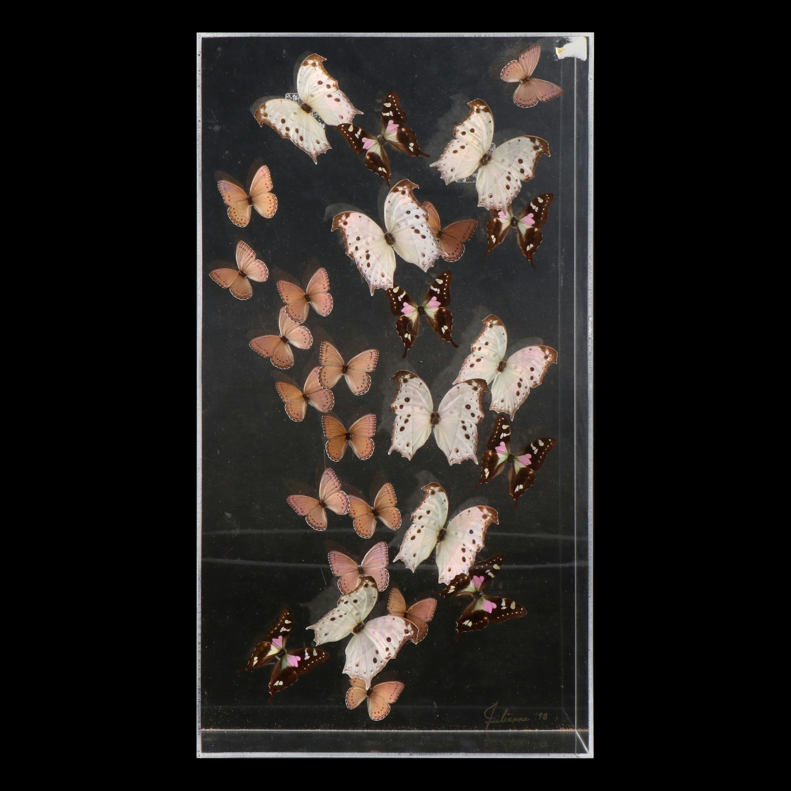 Butterfly Display with Forest Mother-of-Pearl and Others, 1998