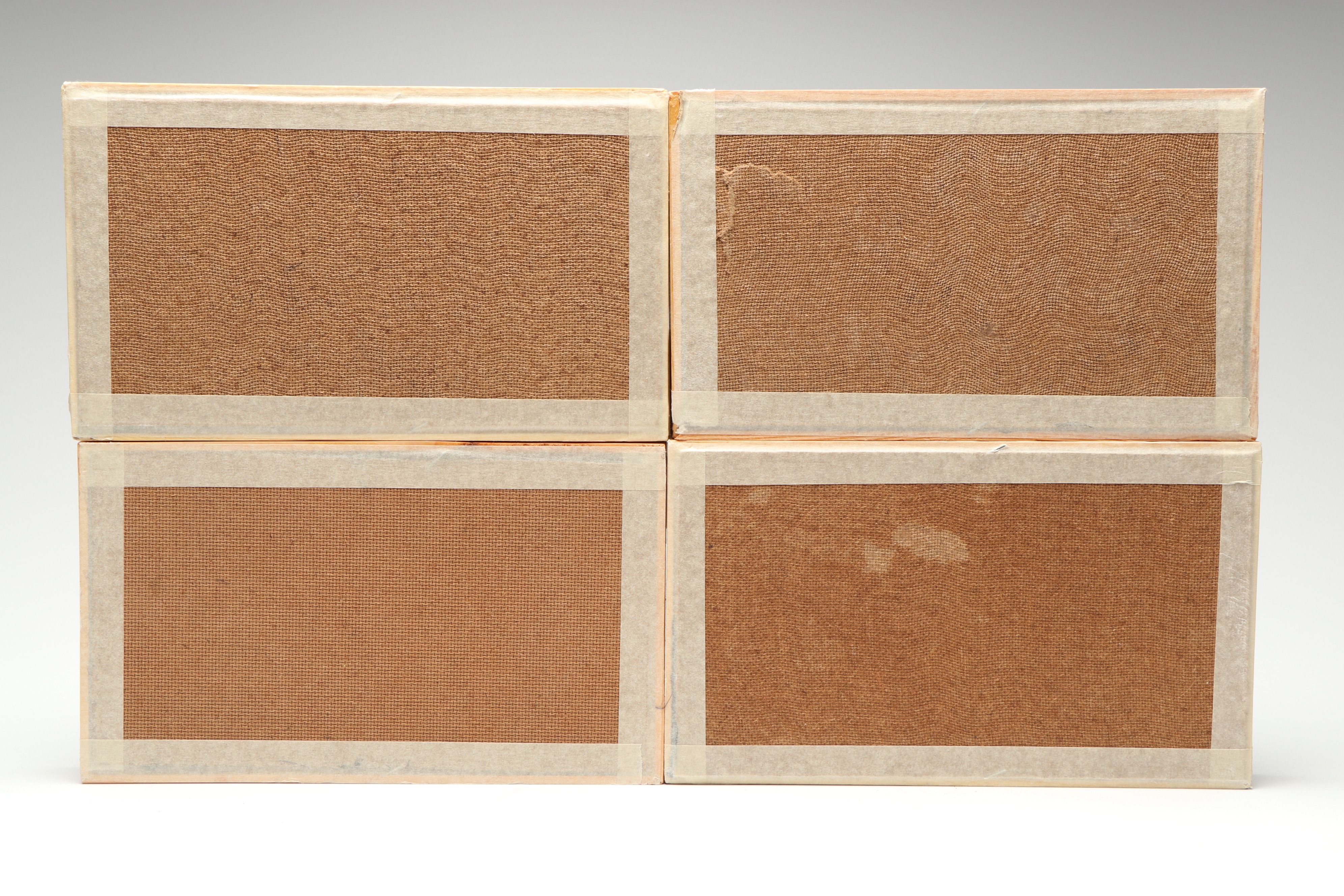 Set of Fossil Displays of Stingray Tooth Pallets, Shark Teeth, Fish Vertebrae