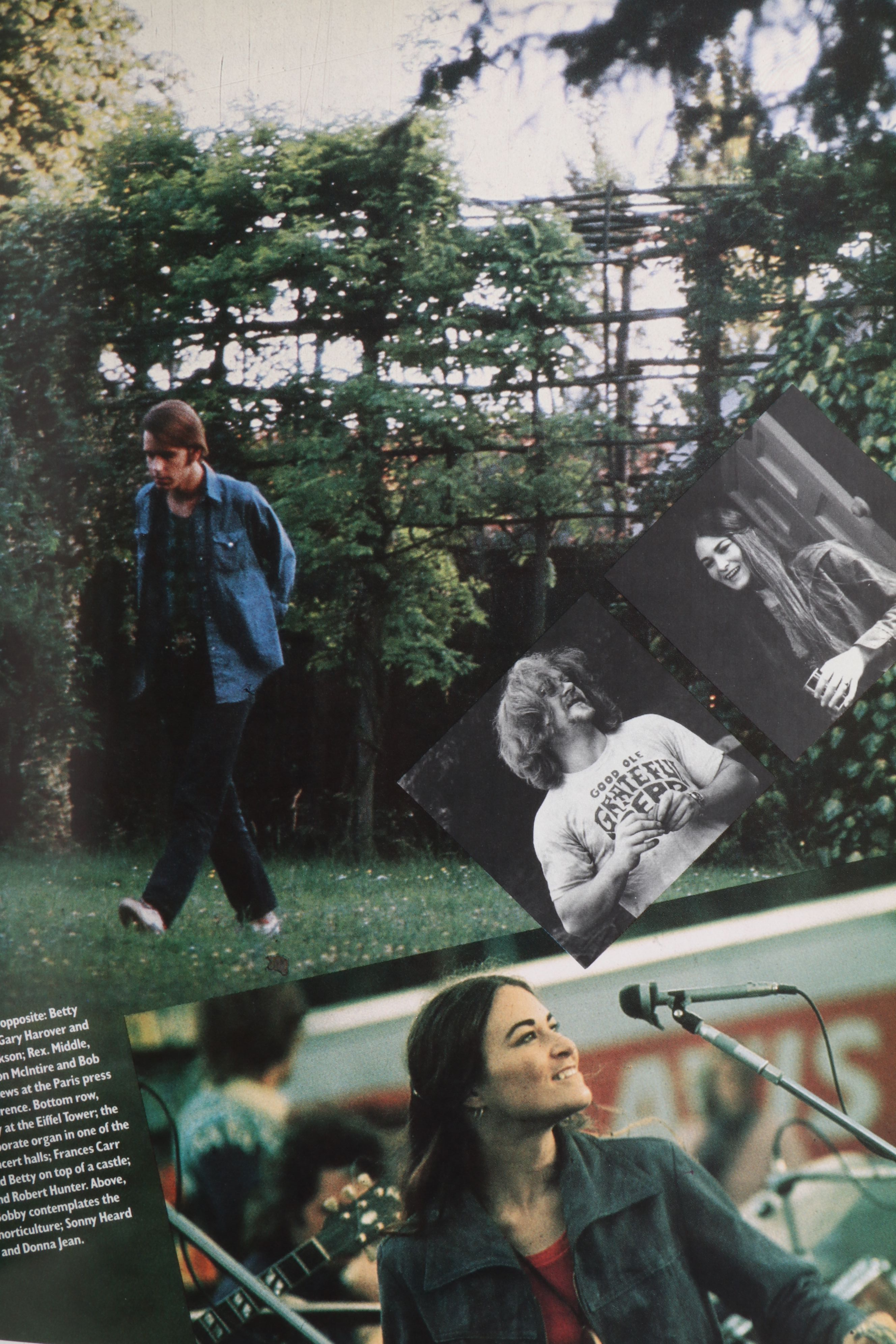 First Printing "Grateful Dead Family Album" by Jerilyn Lee Brandelius, 1989