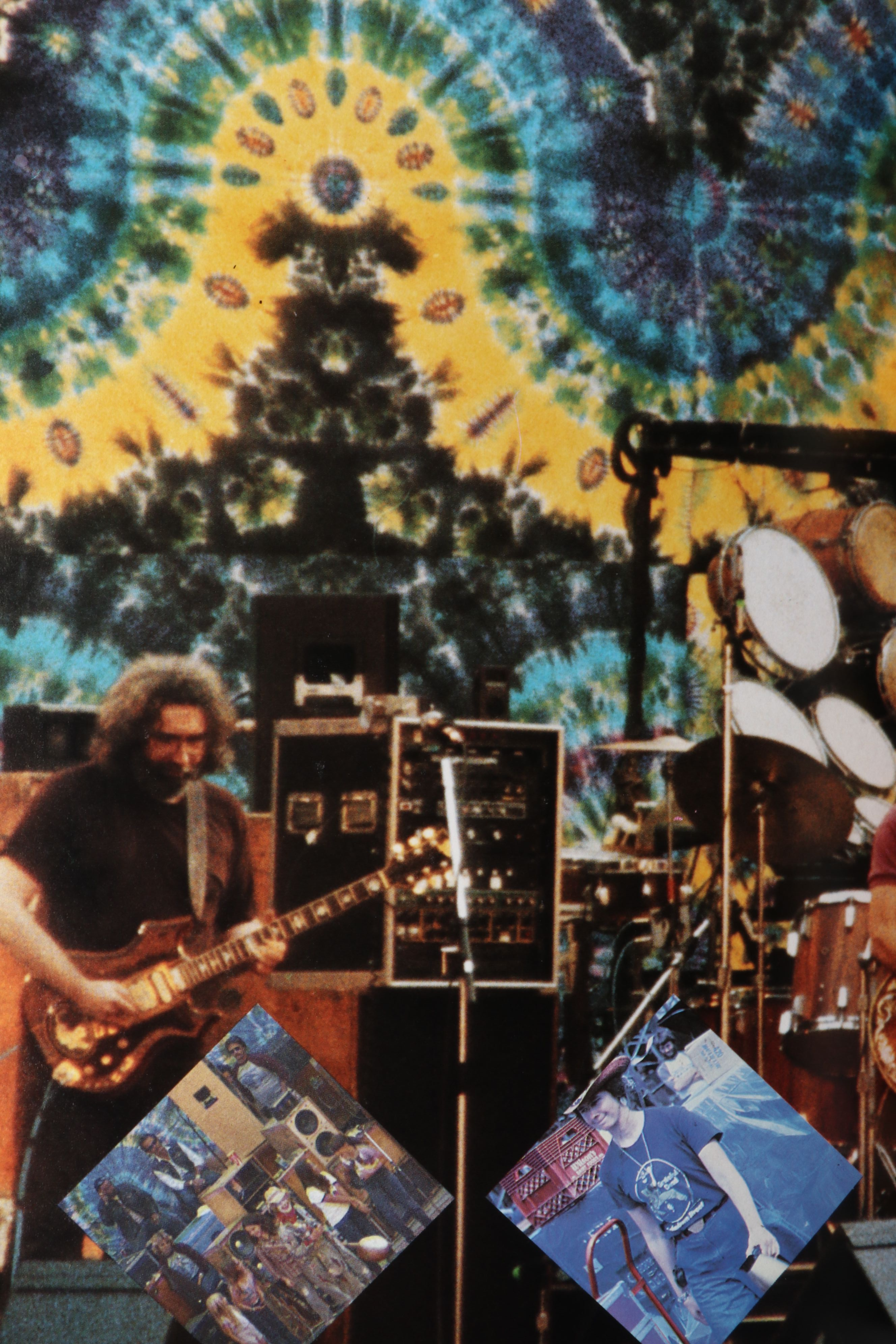 First Printing "Grateful Dead Family Album" by Jerilyn Lee Brandelius, 1989