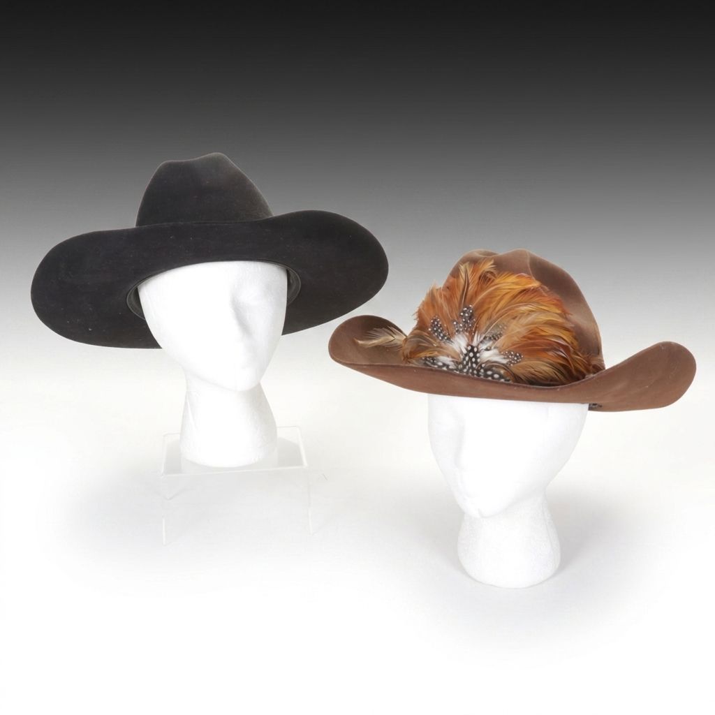 Resistol Stage Coach and Eddy Bros. Feather Motif and Silver Trim Western Hats
