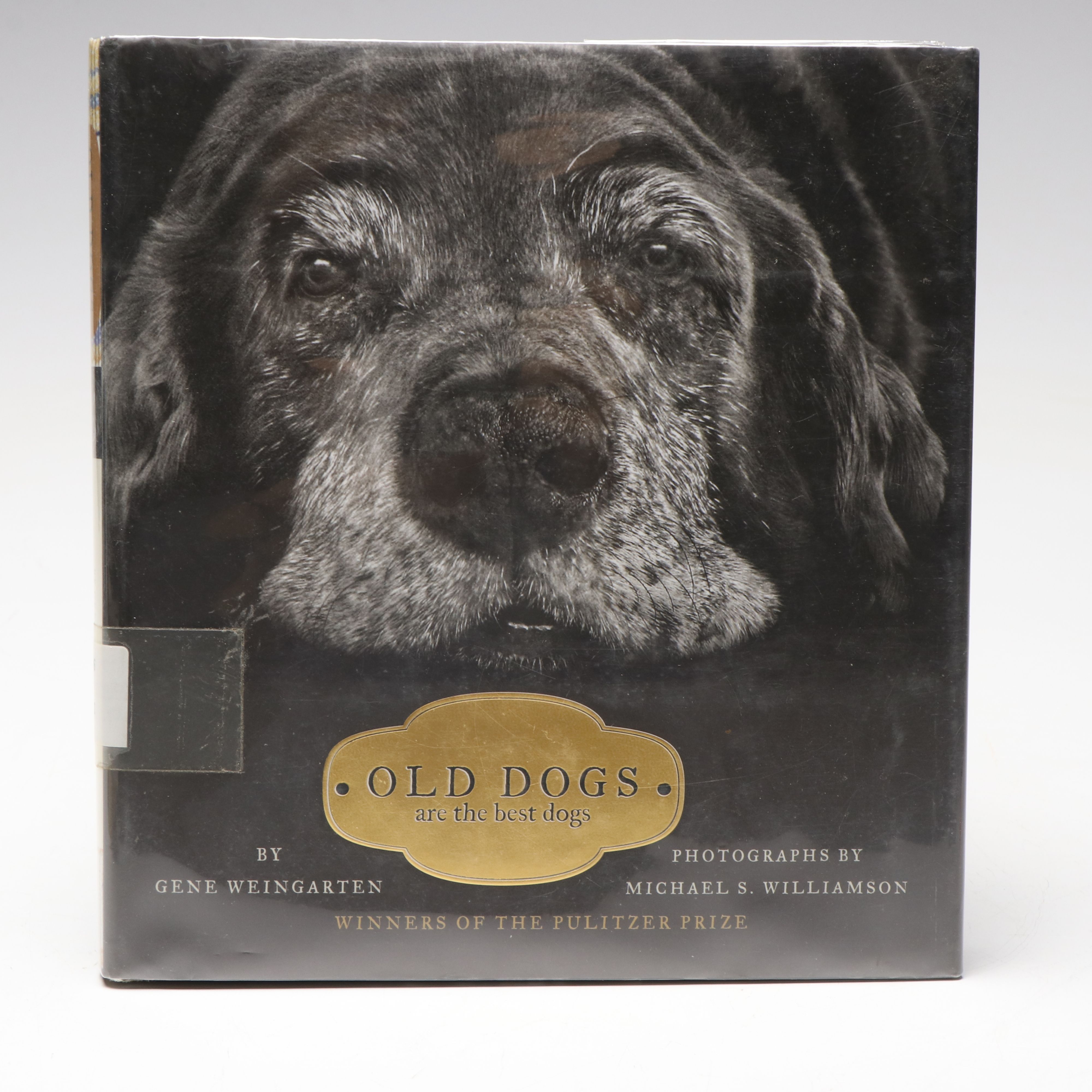 "Old Dogs Are the Best Dogs" by Gene Weingarten with More Dog Books