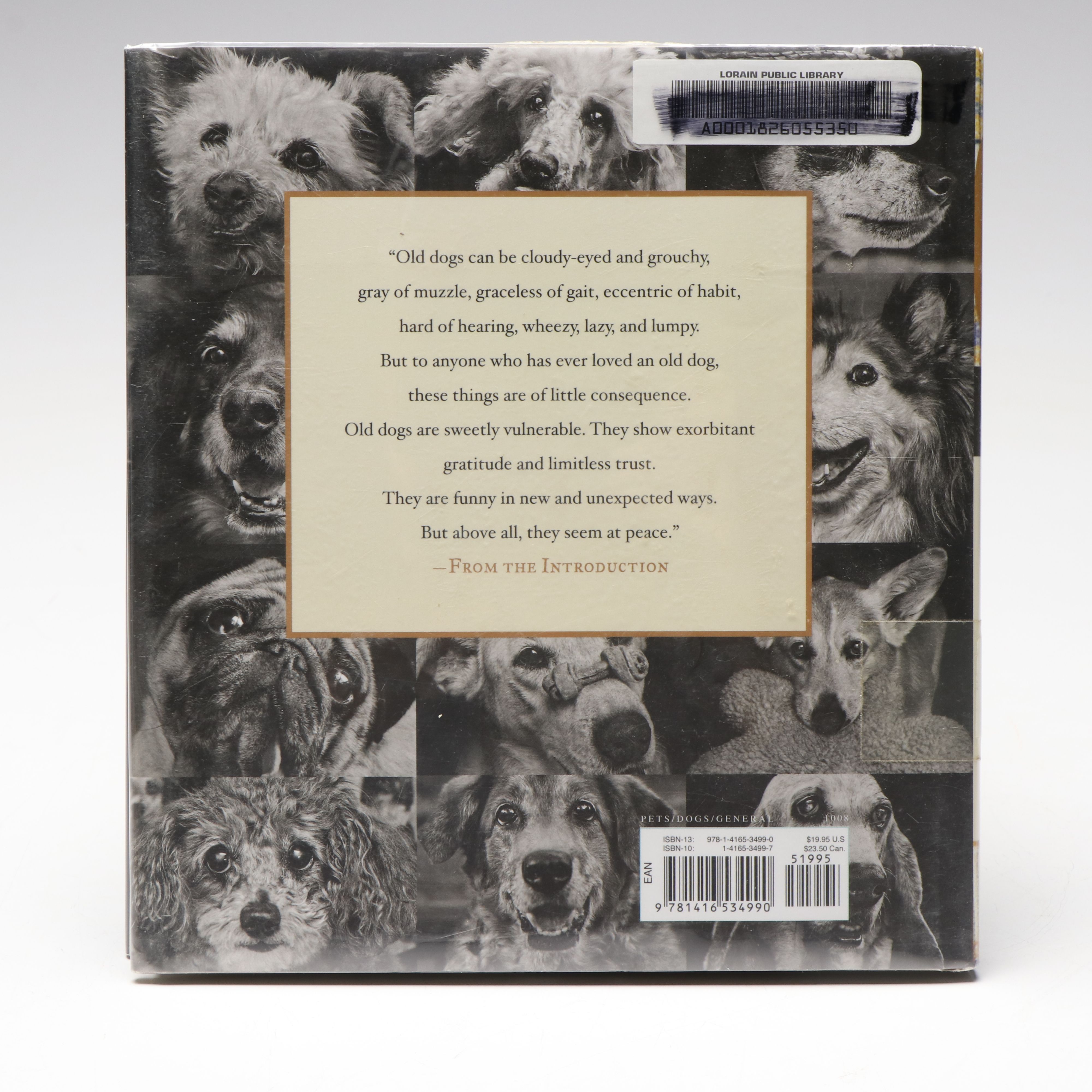 "Old Dogs Are the Best Dogs" by Gene Weingarten with More Dog Books