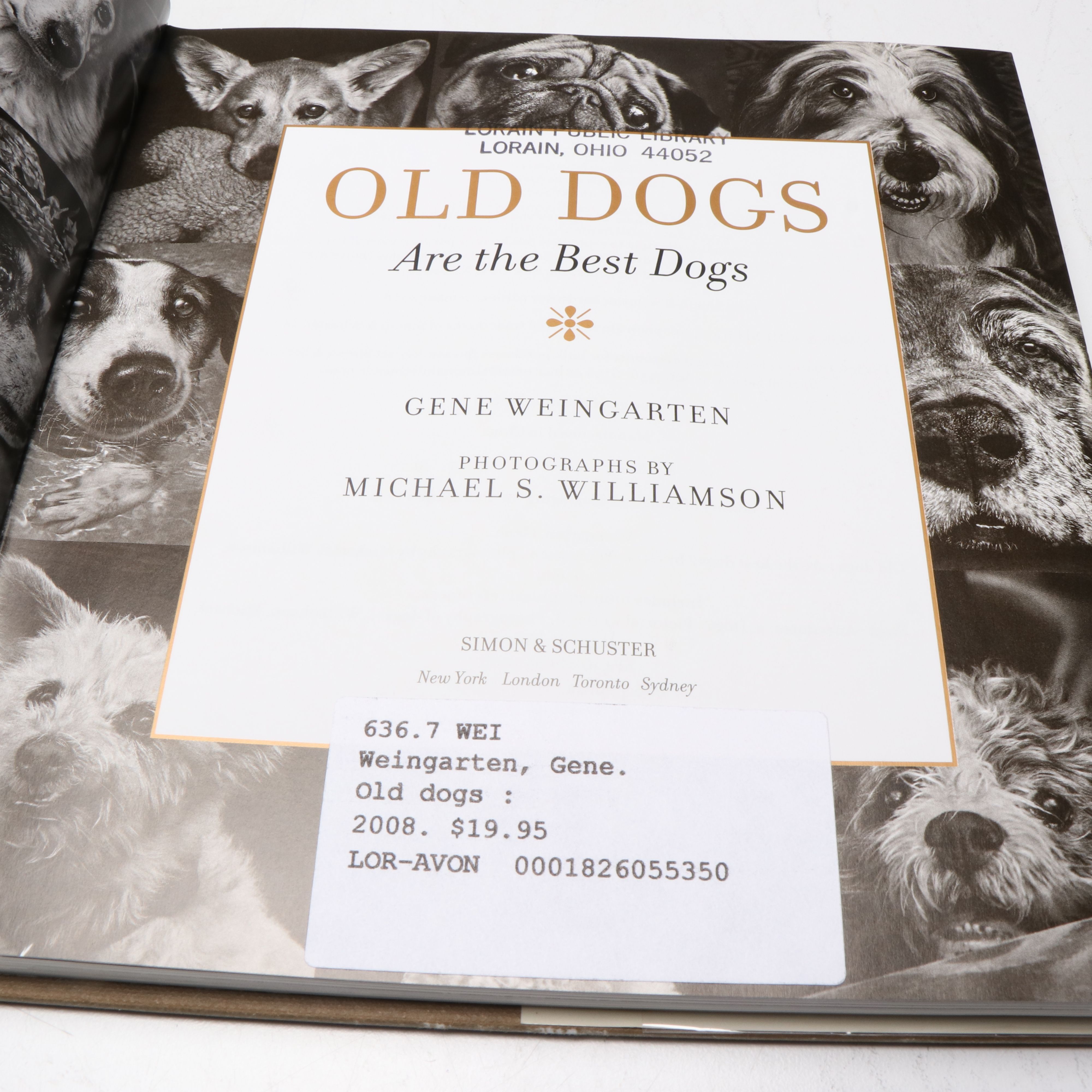 "Old Dogs Are the Best Dogs" by Gene Weingarten with More Dog Books