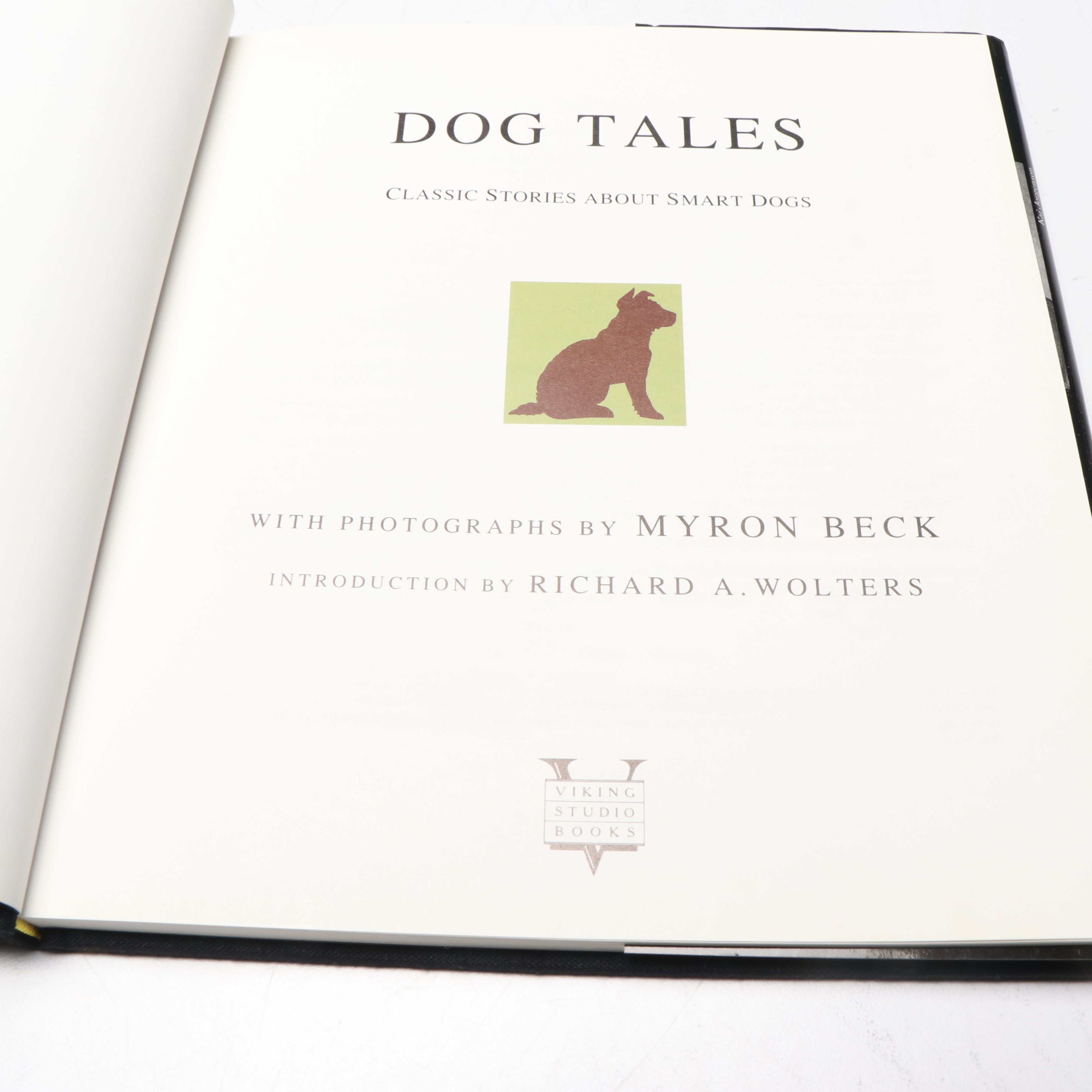 "Old Dogs Are the Best Dogs" by Gene Weingarten with More Dog Books