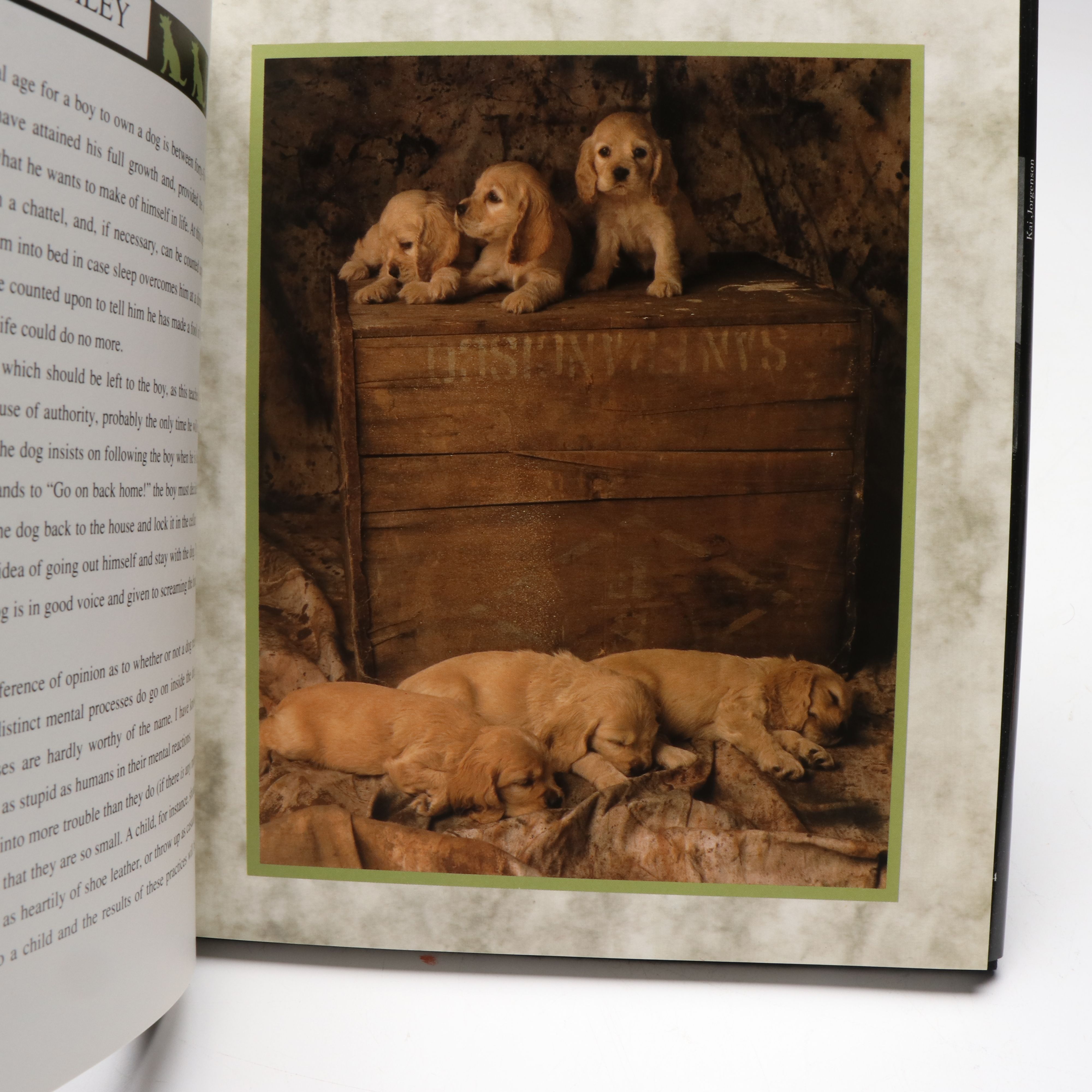 "Old Dogs Are the Best Dogs" by Gene Weingarten with More Dog Books
