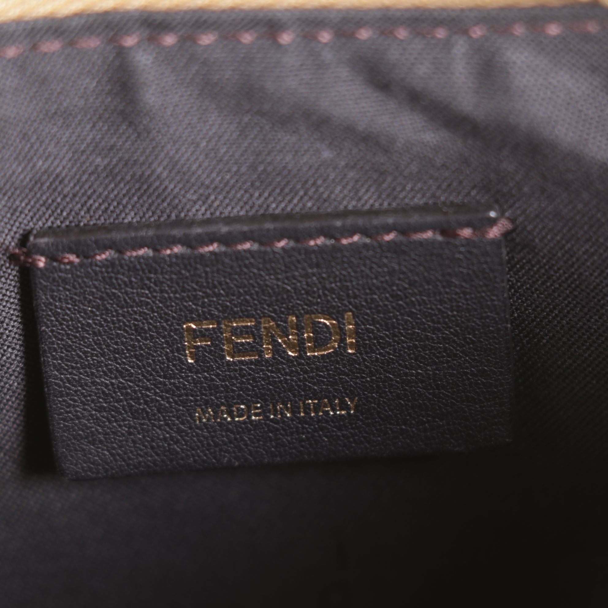 Fendi Fendigraphy Hobo Bag in Gold Leather
