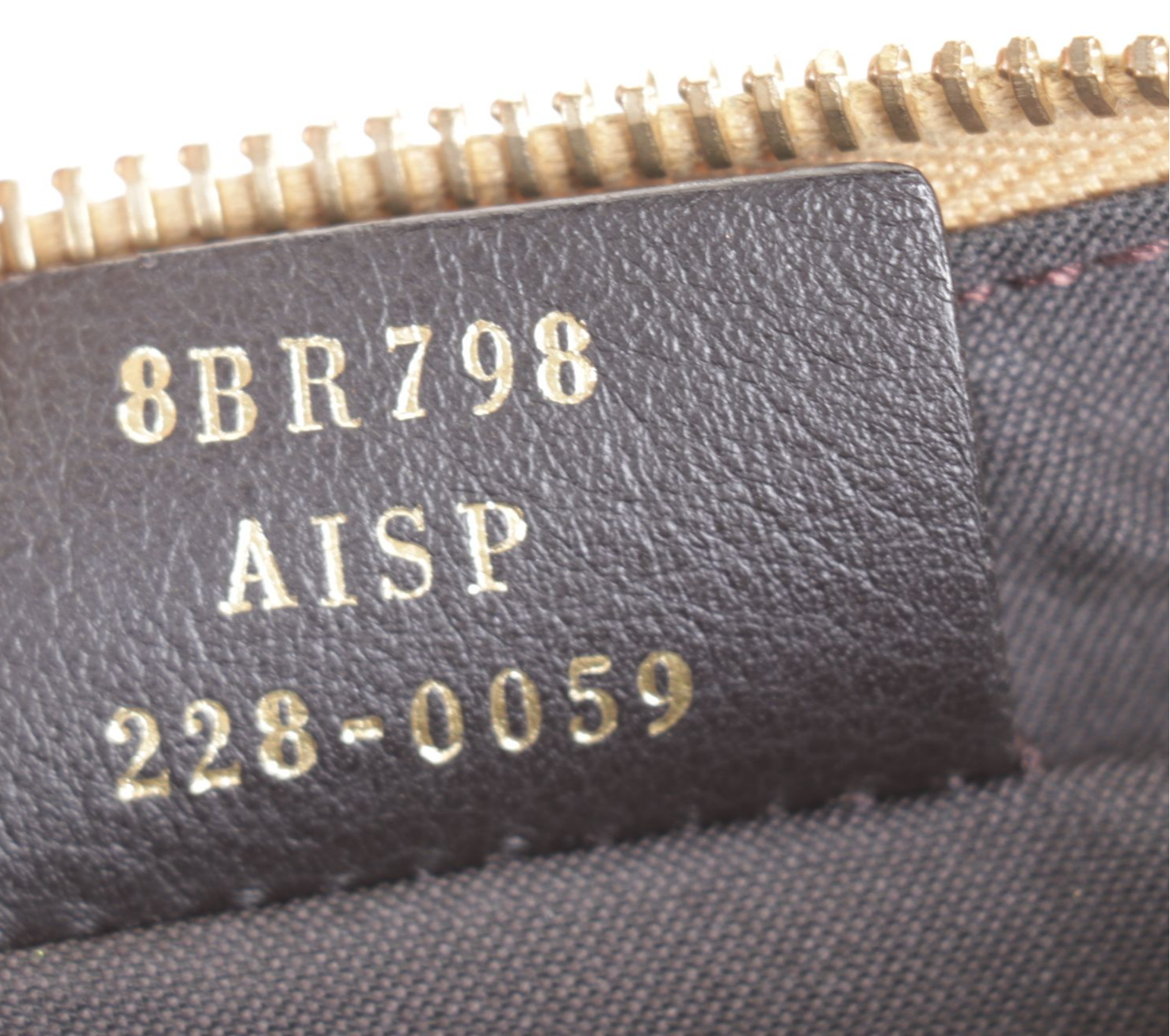 Fendi Fendigraphy Hobo Bag in Gold Leather