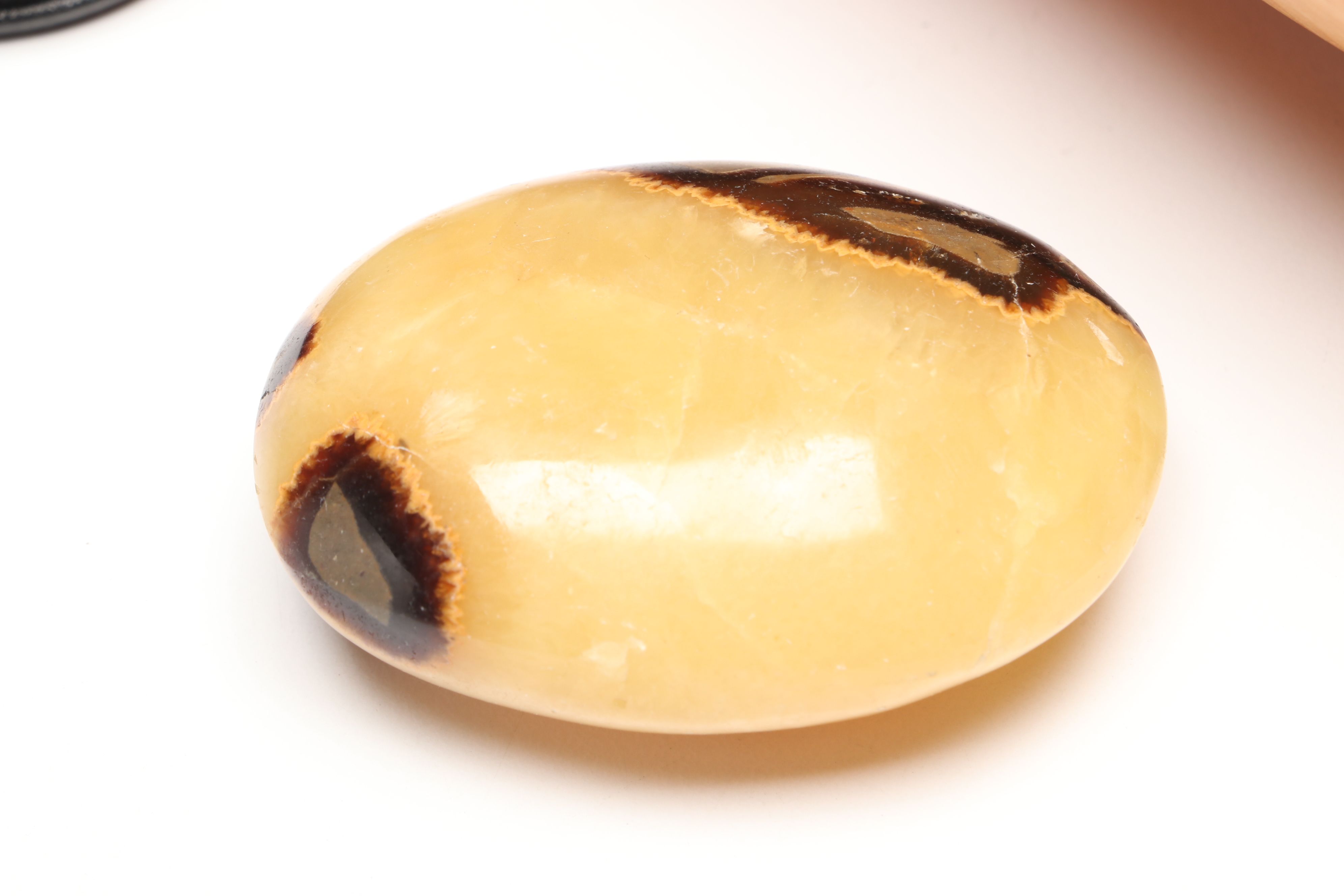 Live Edge Votive Tray, Polished Utah Septarian Nodule