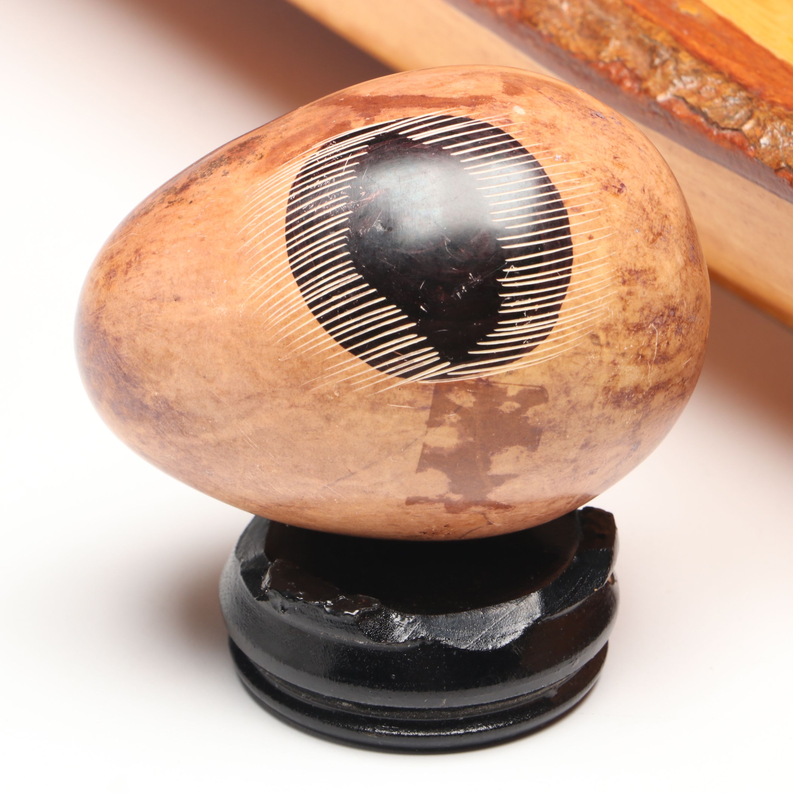 Live Edge Votive Tray, Polished Utah Septarian Nodule