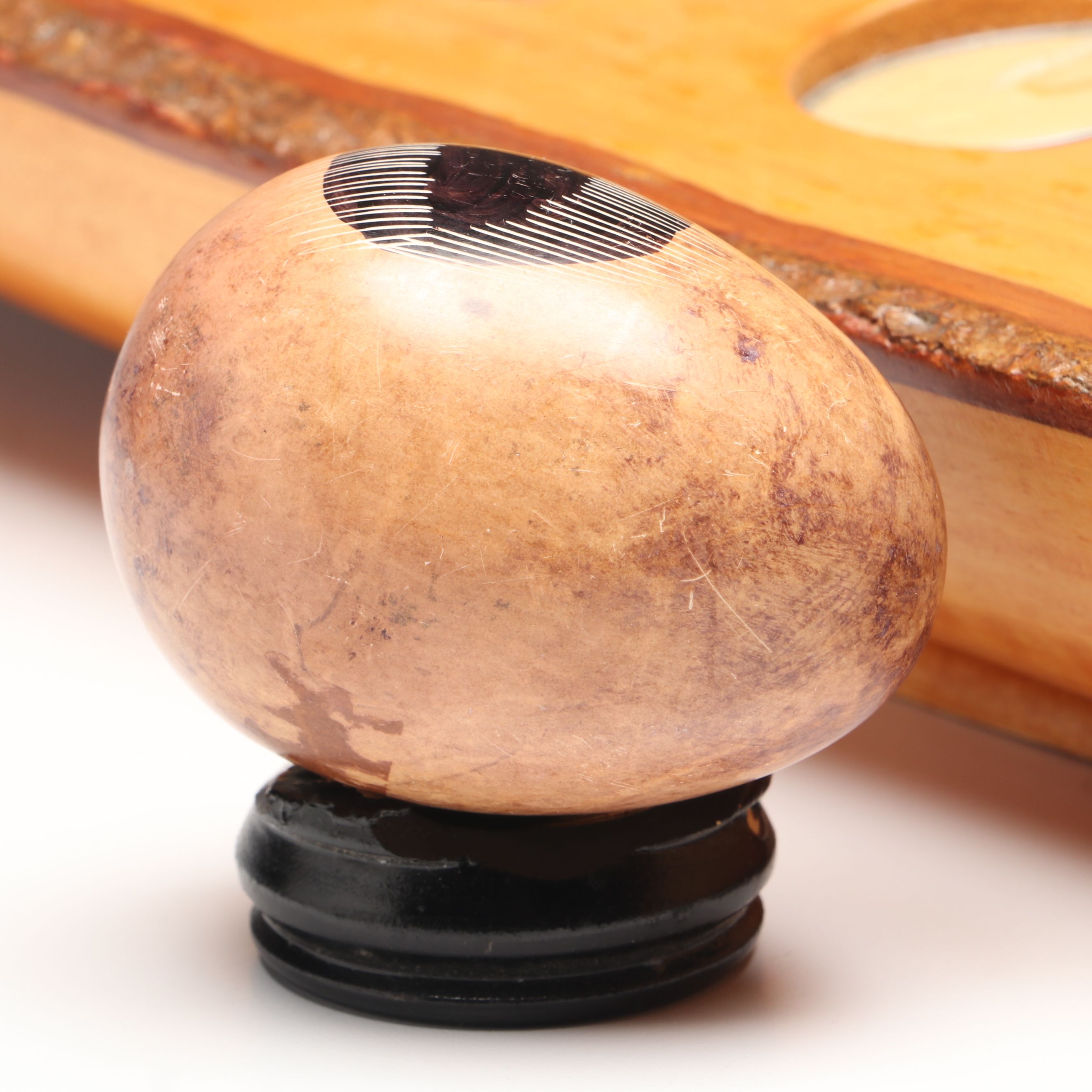 Live Edge Votive Tray, Polished Utah Septarian Nodule