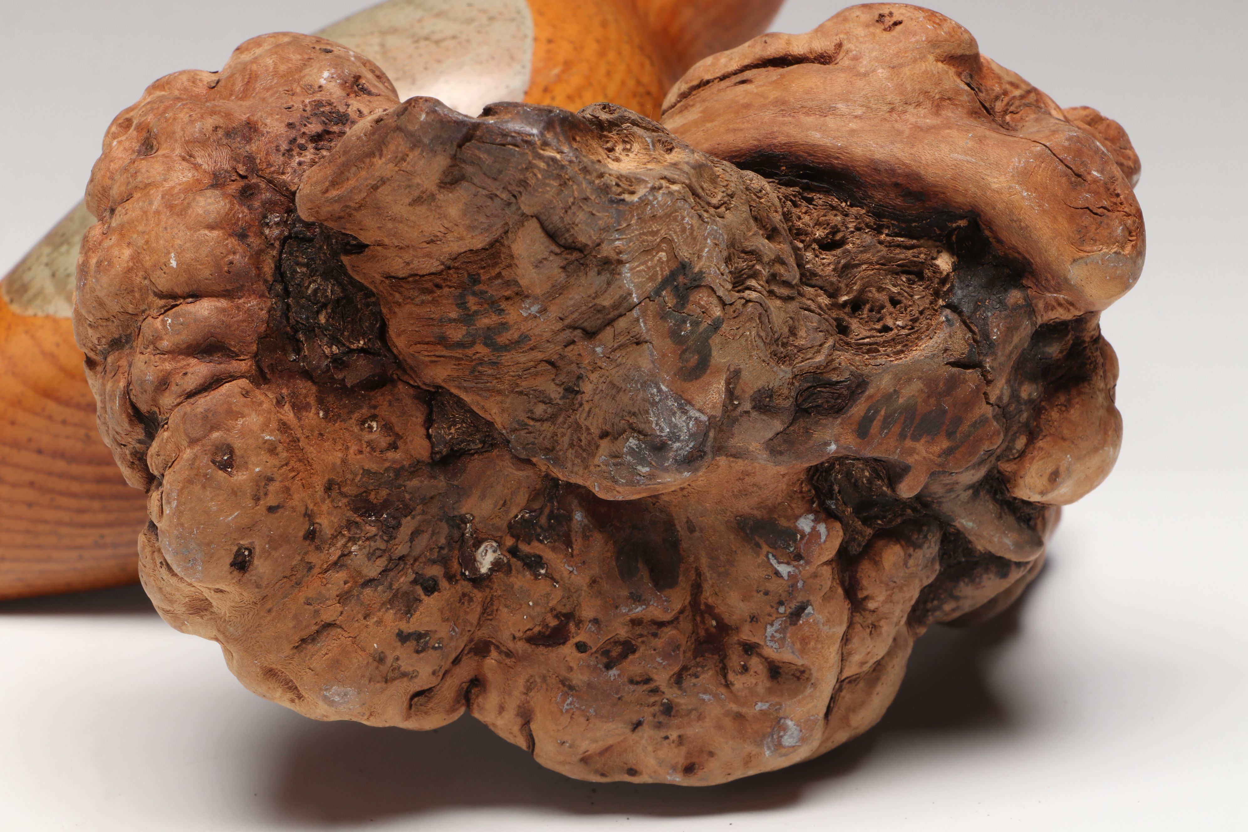 Live Edge Votive Tray, Polished Utah Septarian Nodule