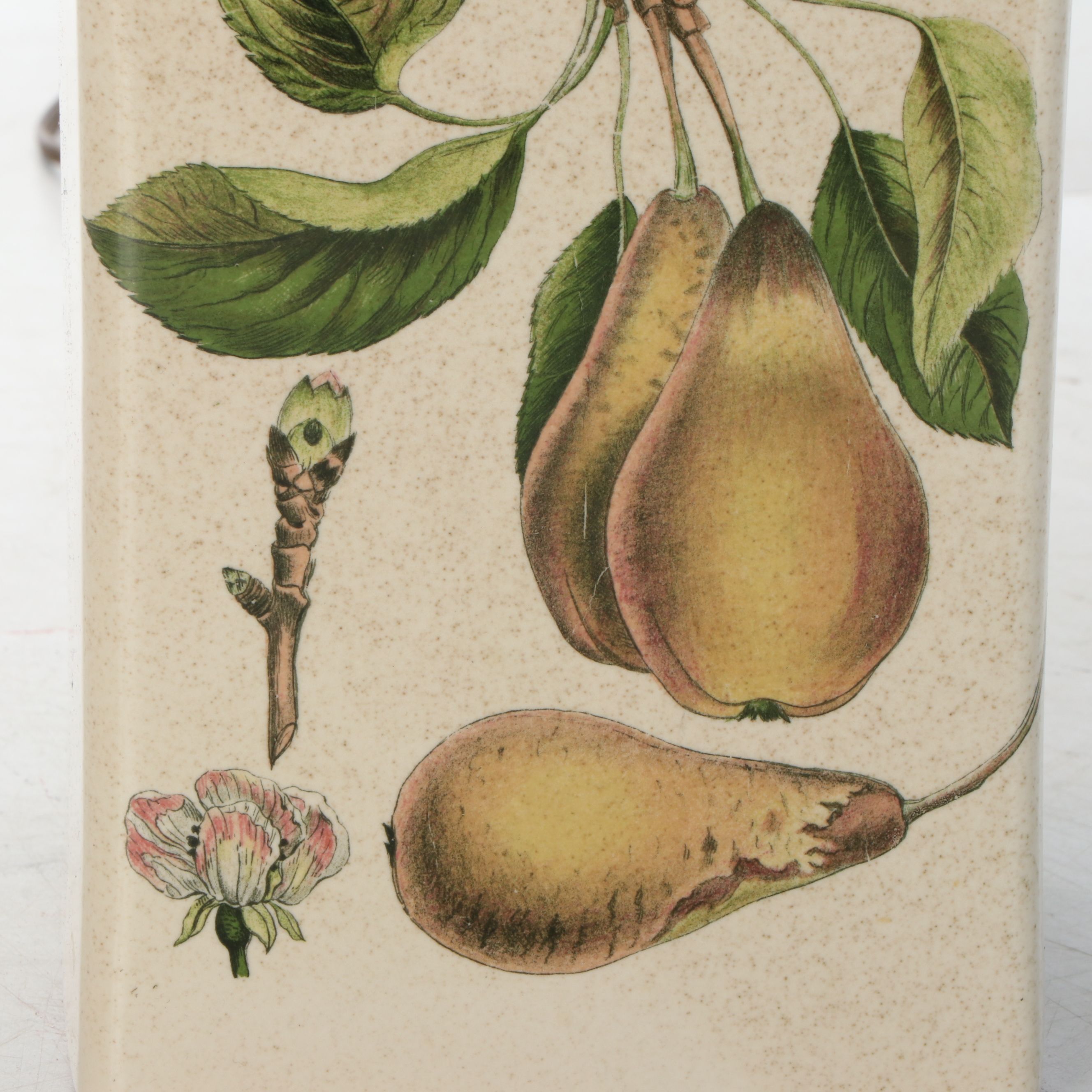 Ceramic Transferware Pear Botanical Accent Table Lamp with Bell Shade