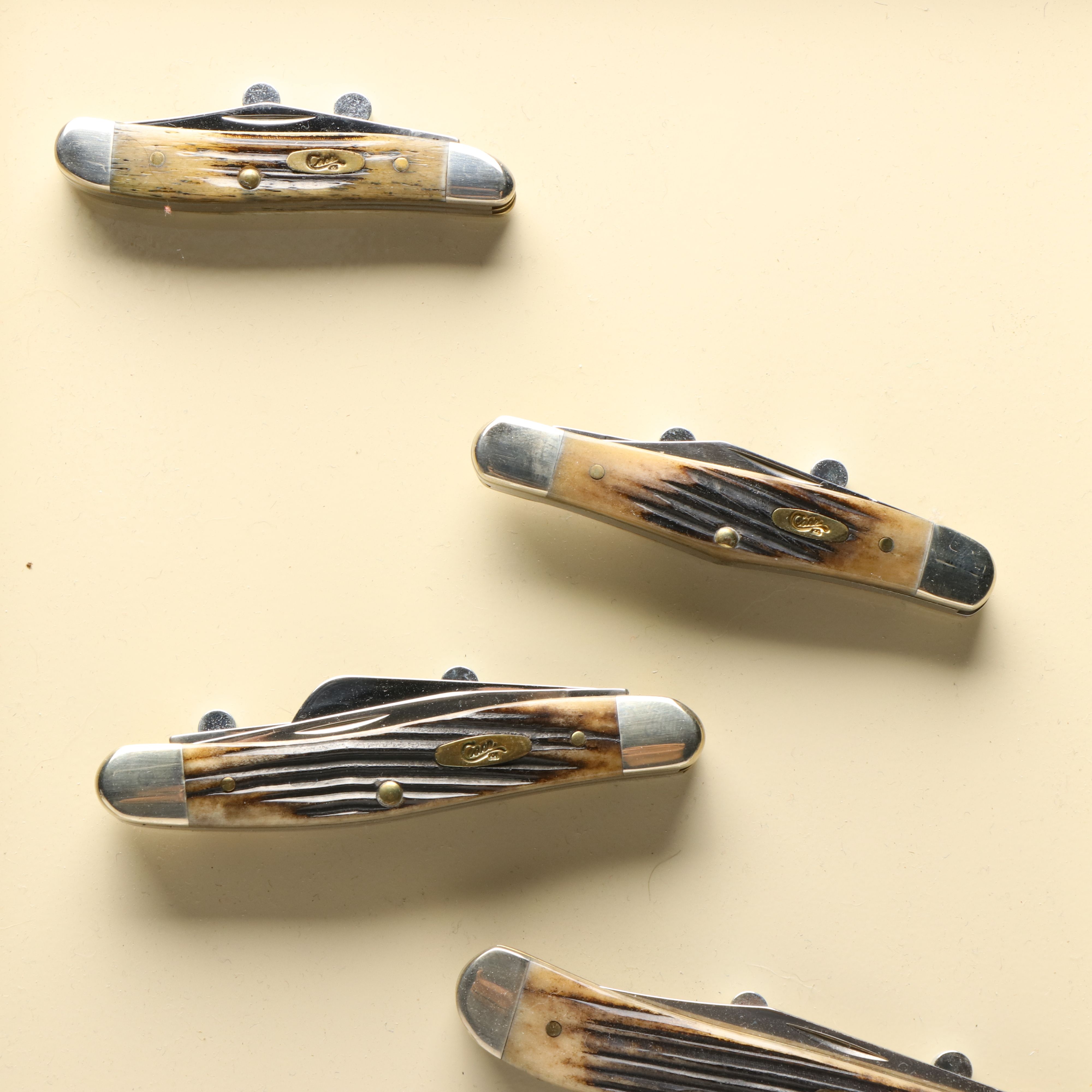 Case Antler Folding Knives with Metal Display