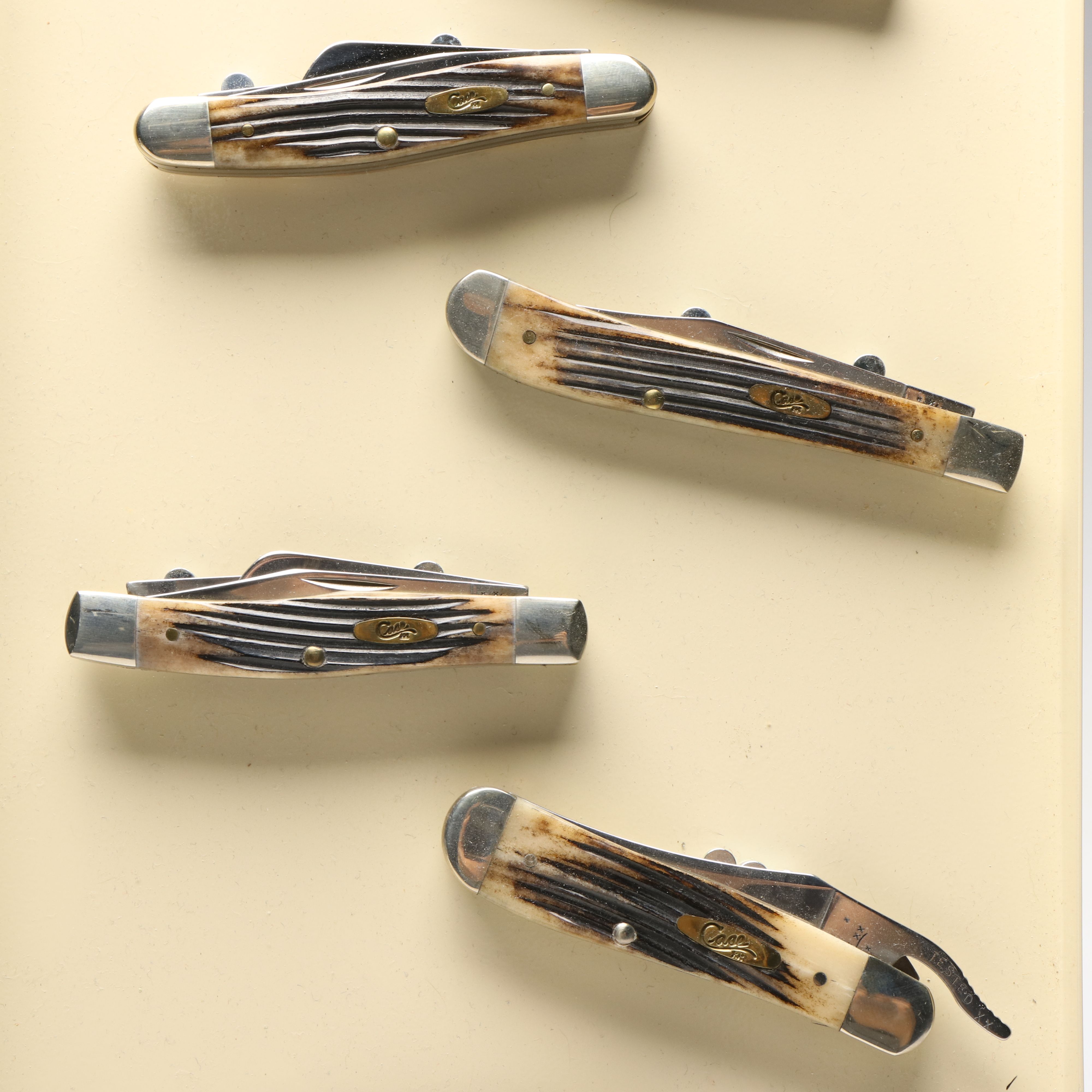 Case Antler Folding Knives with Metal Display