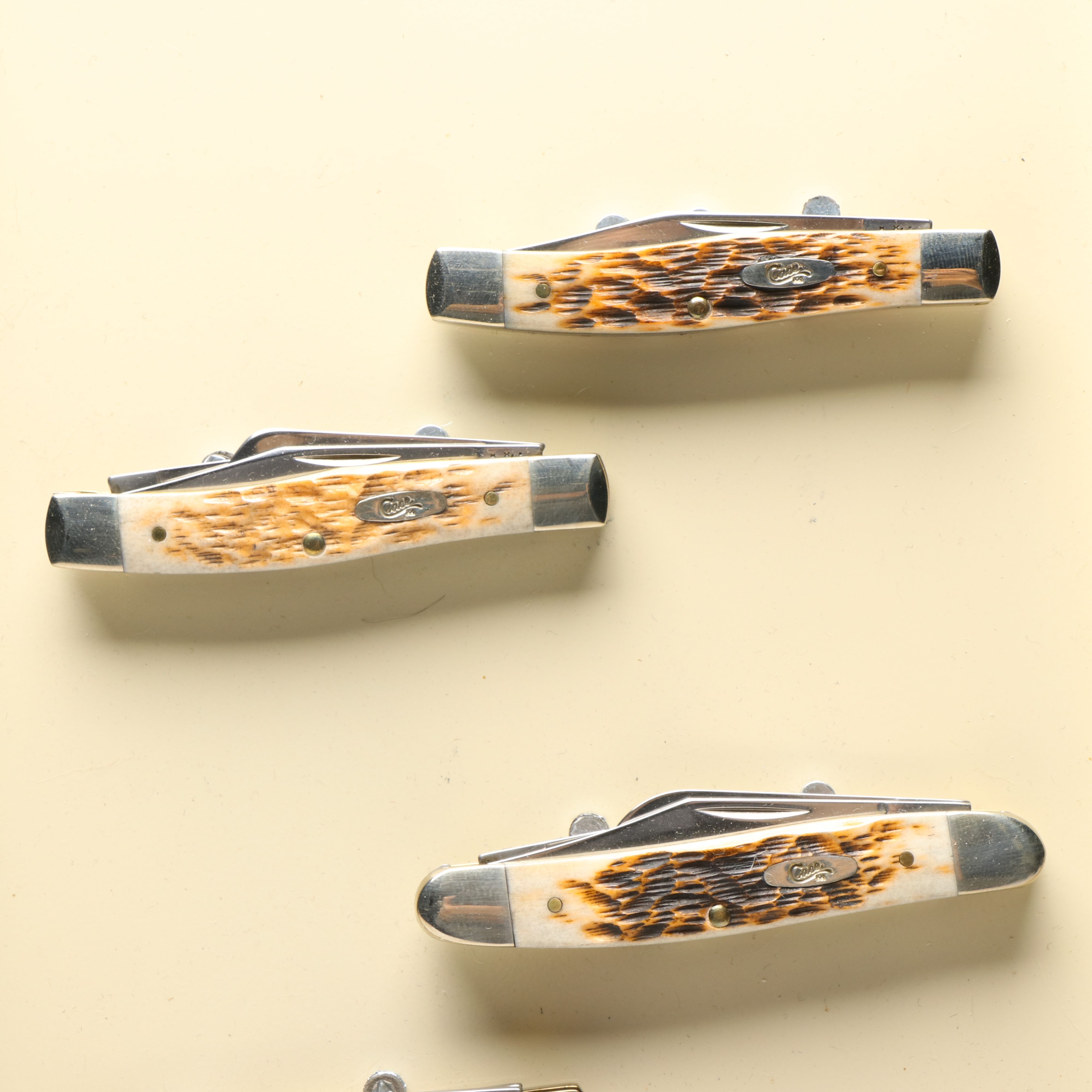 Case Antler Folding Knives with Metal Display