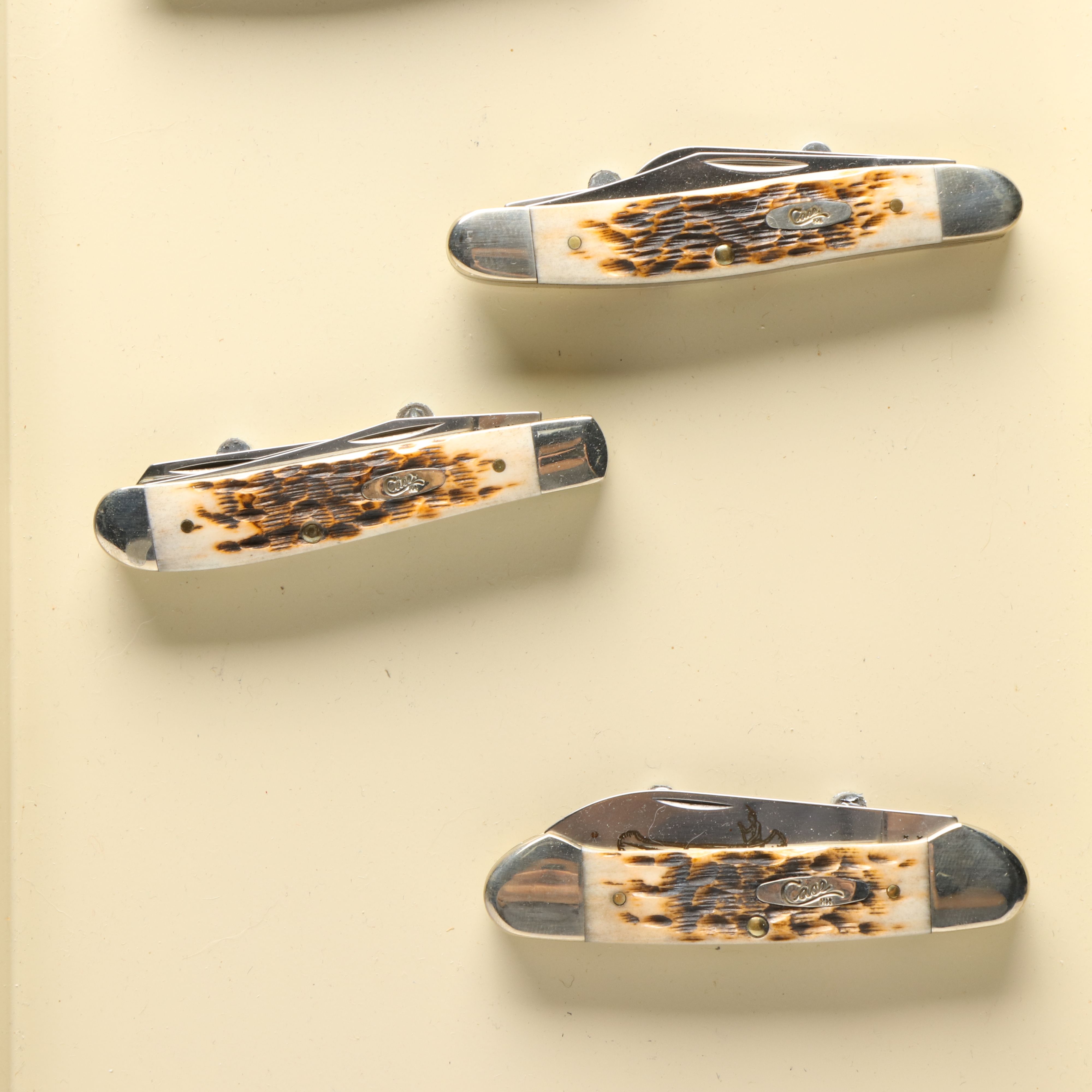 Case Antler Folding Knives with Metal Display