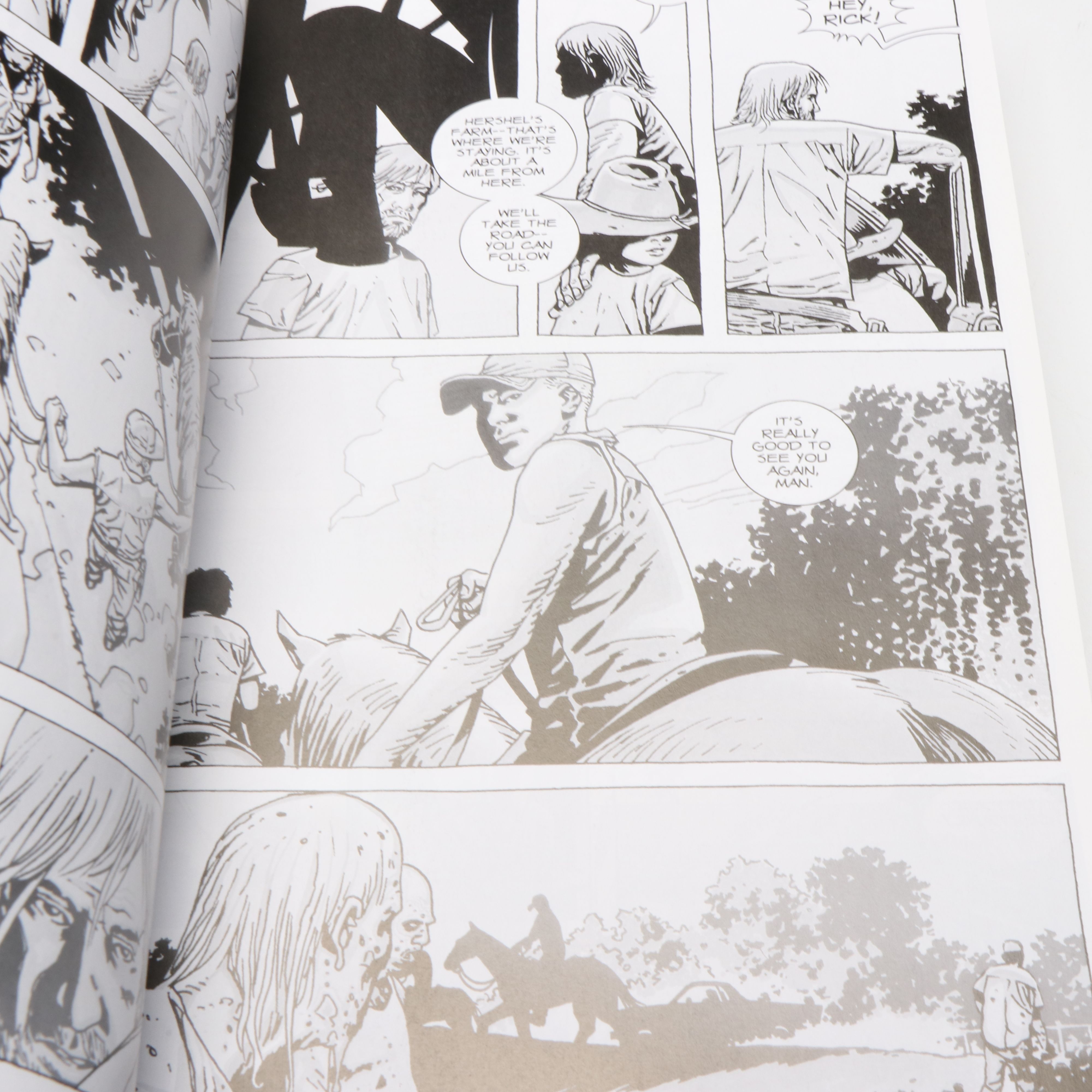 Image Comics "The Walking Dead" Compendia 1–4 by Robert Kirkman