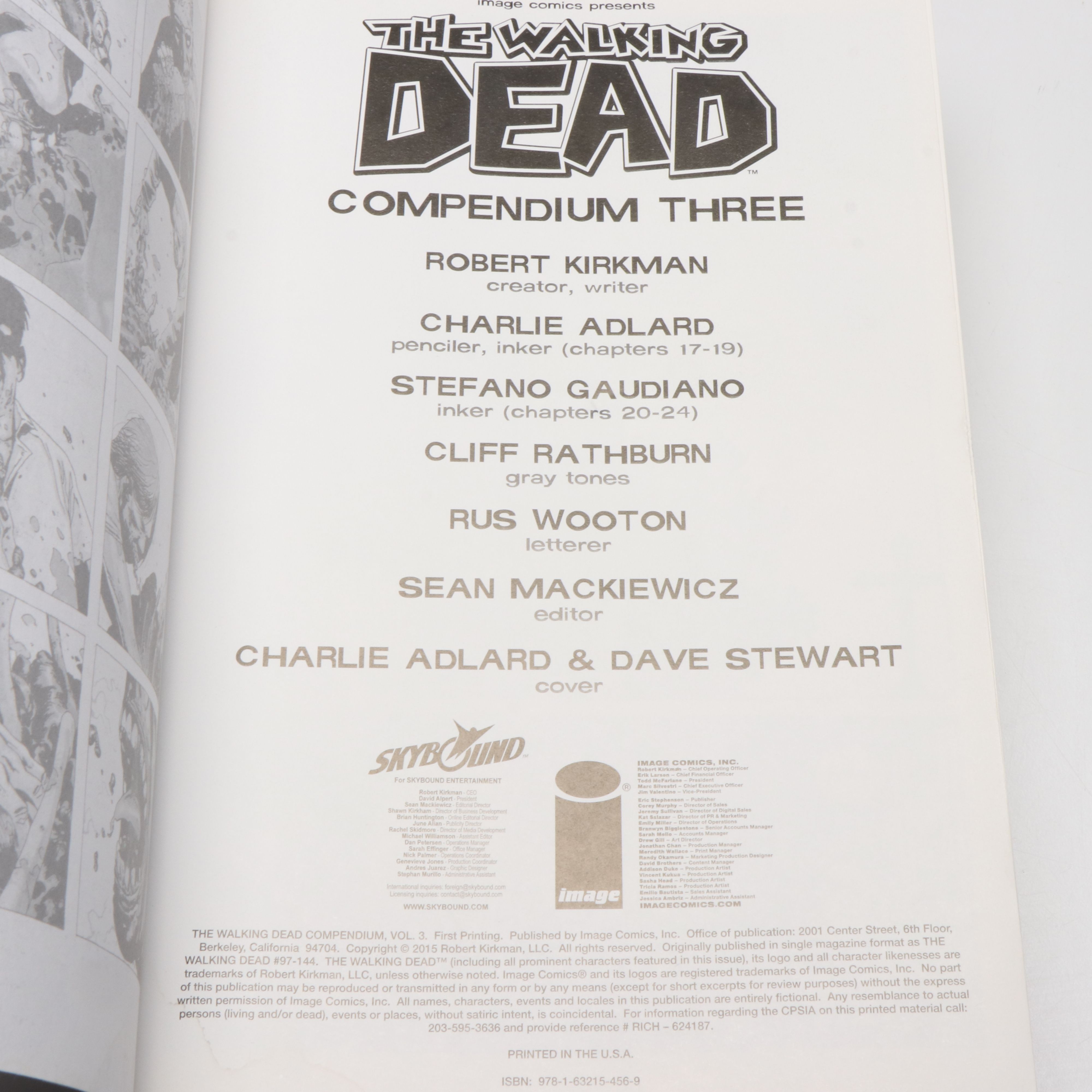 Image Comics "The Walking Dead" Compendia 1–4 by Robert Kirkman