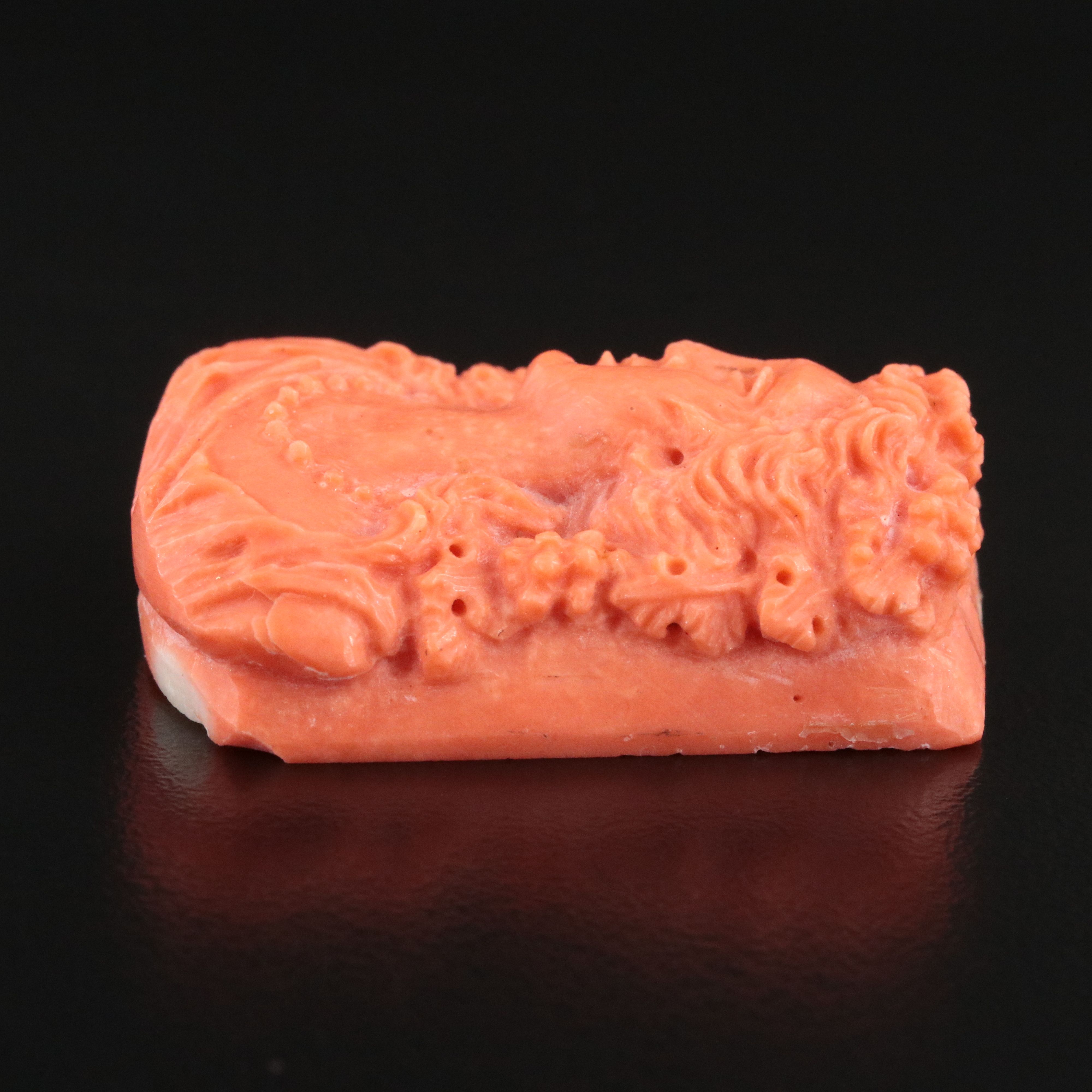 Loose Coral Cameo