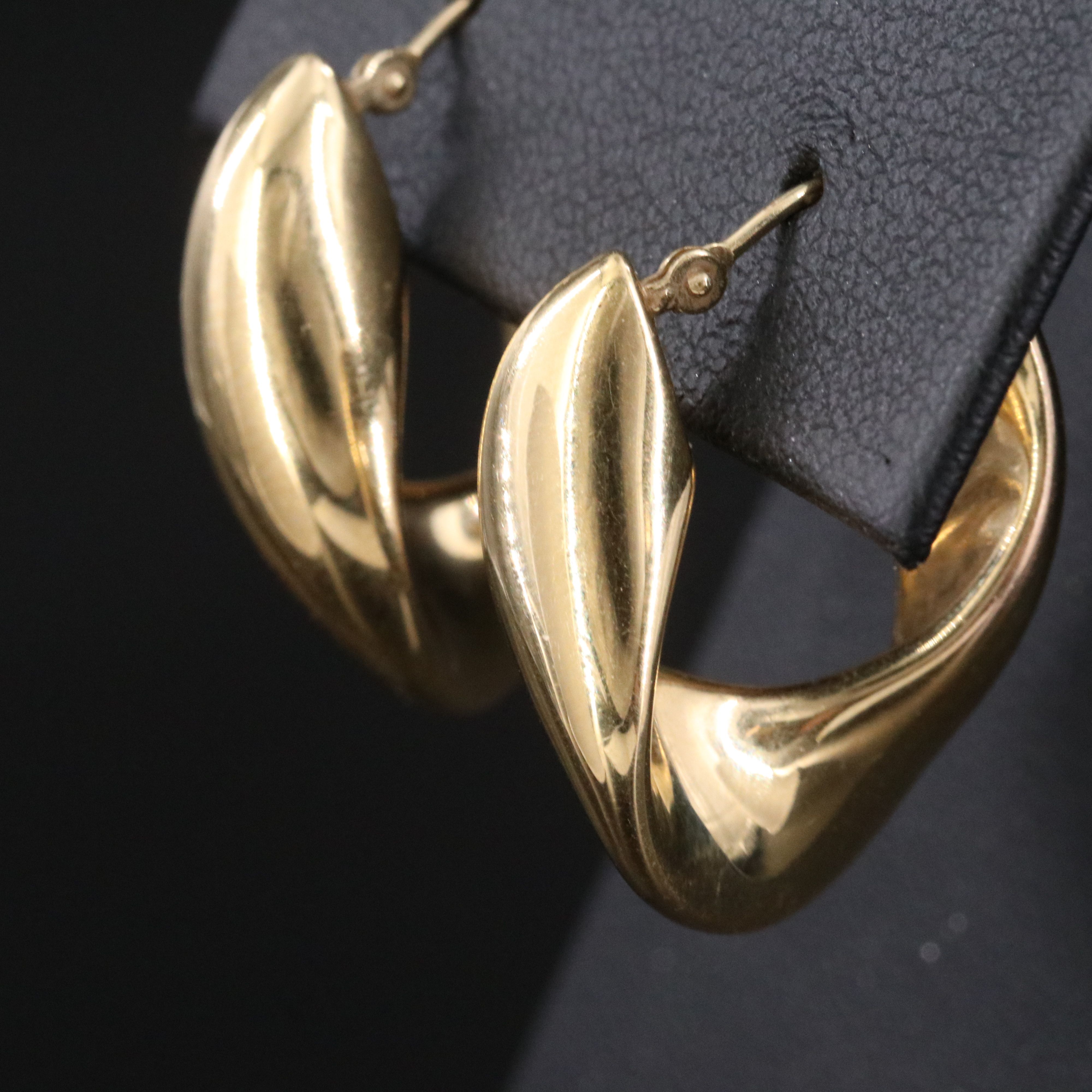 Electroformed Ribboned Hoop Earrings