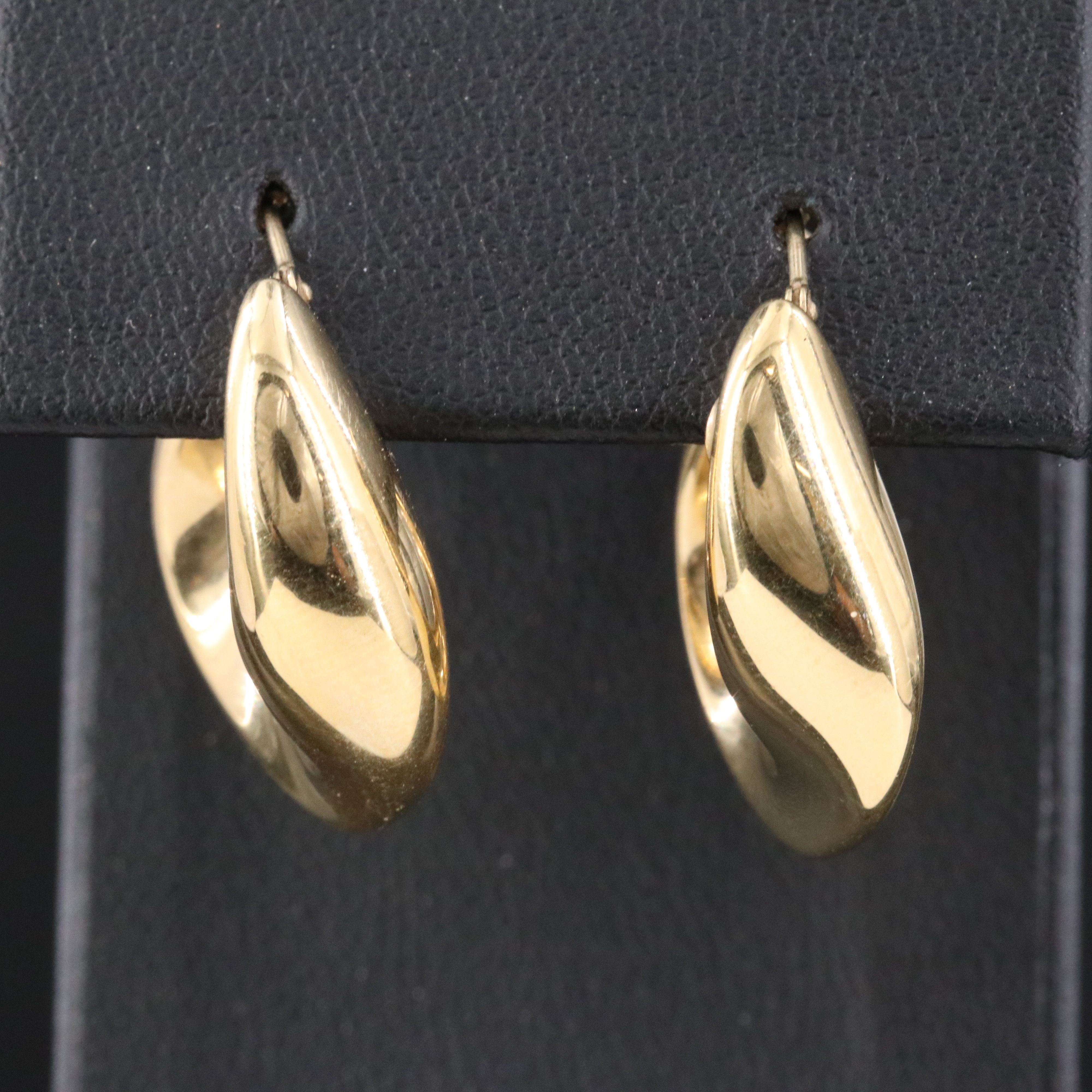 Electroformed Ribboned Hoop Earrings