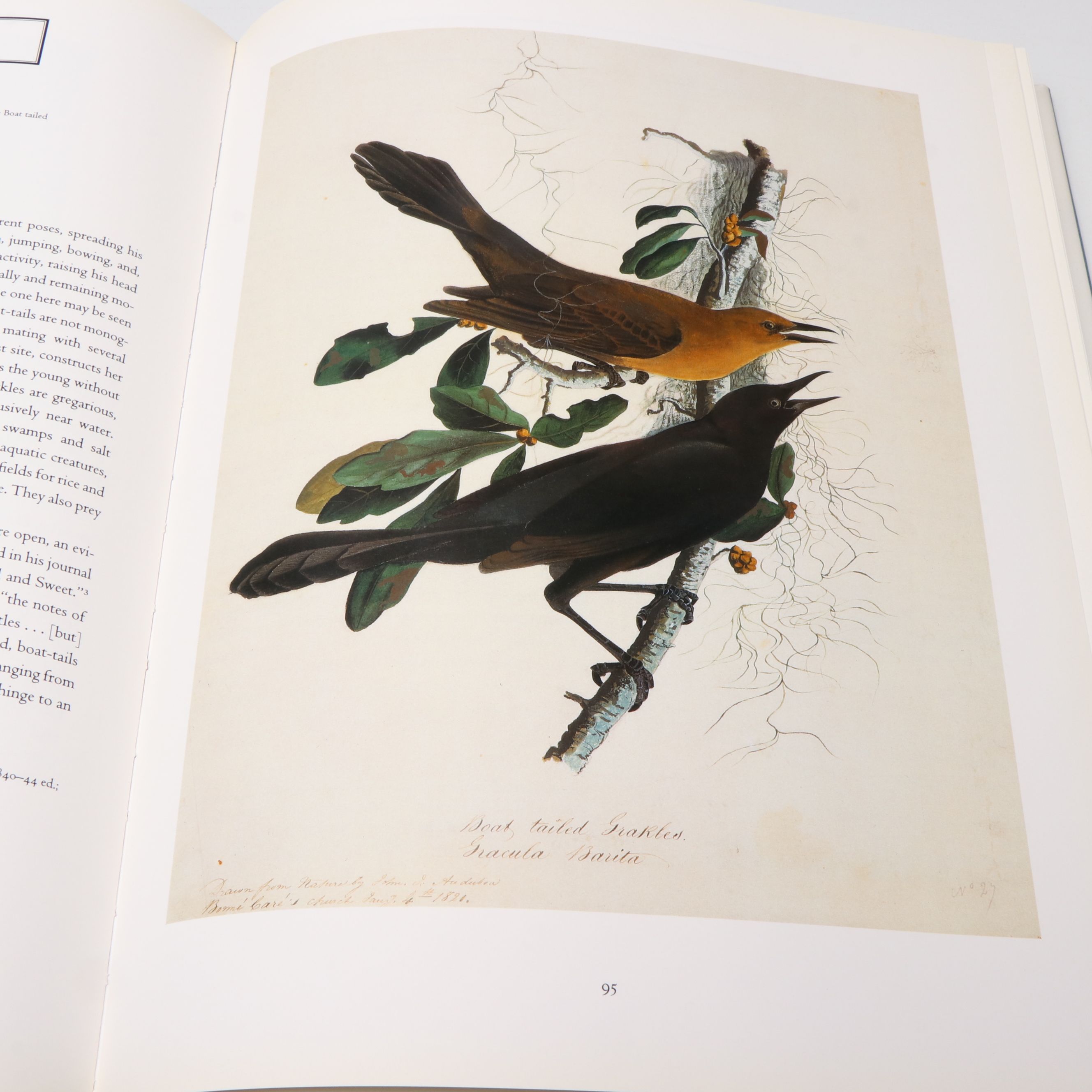 First Printing "John James Audubon: Watercolors for The Birds of America," 1993