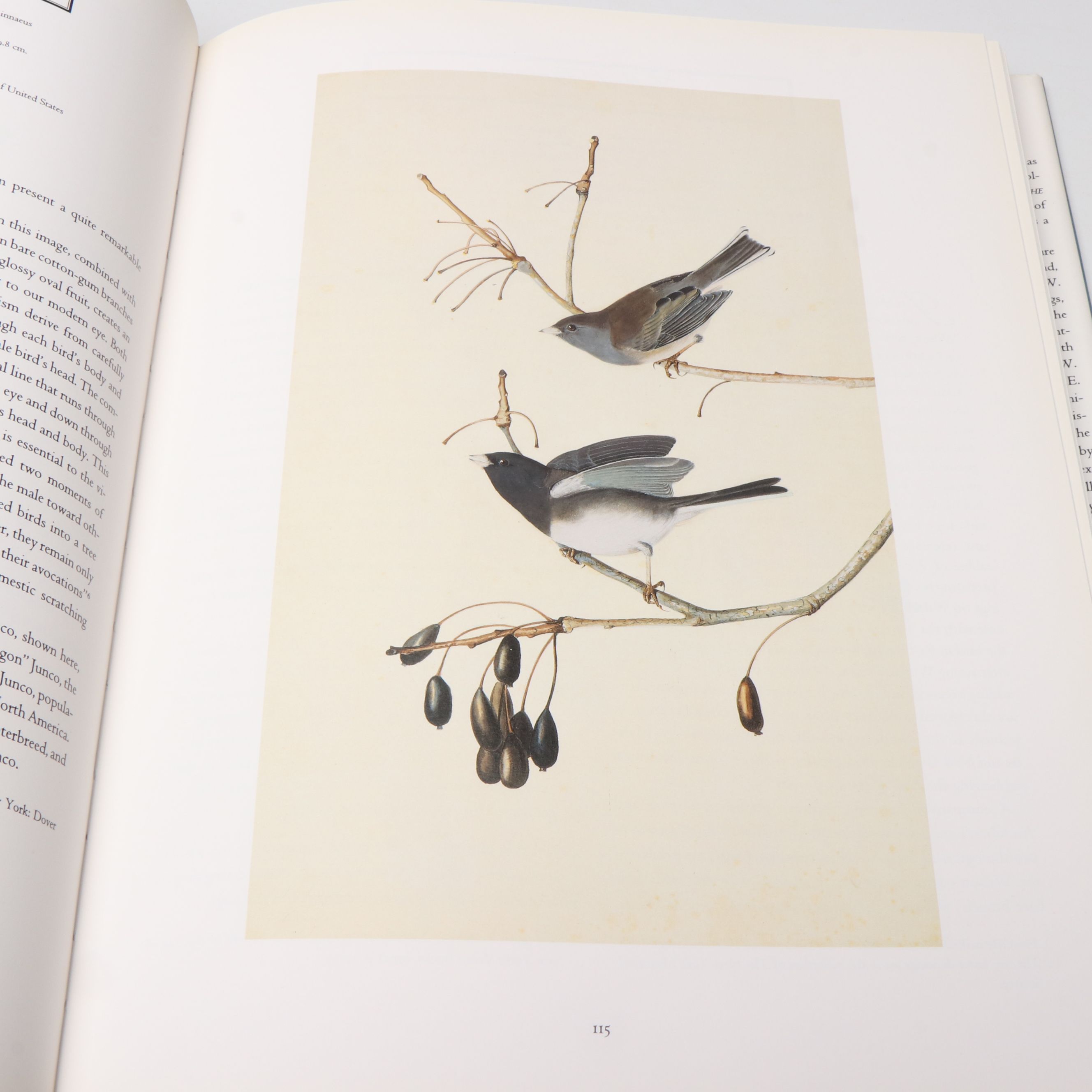 First Printing "John James Audubon: Watercolors for The Birds of America," 1993