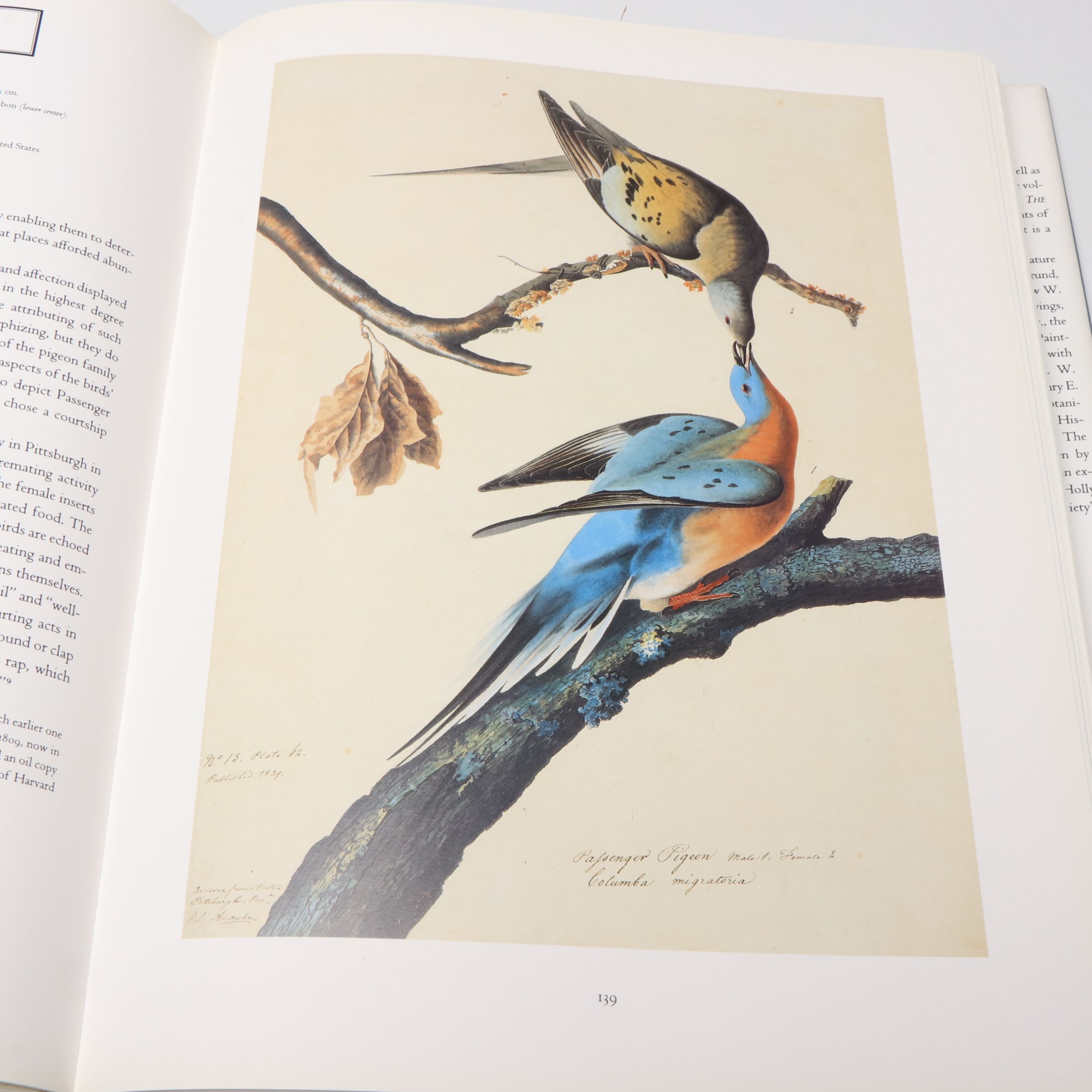 First Printing "John James Audubon: Watercolors for The Birds of America," 1993