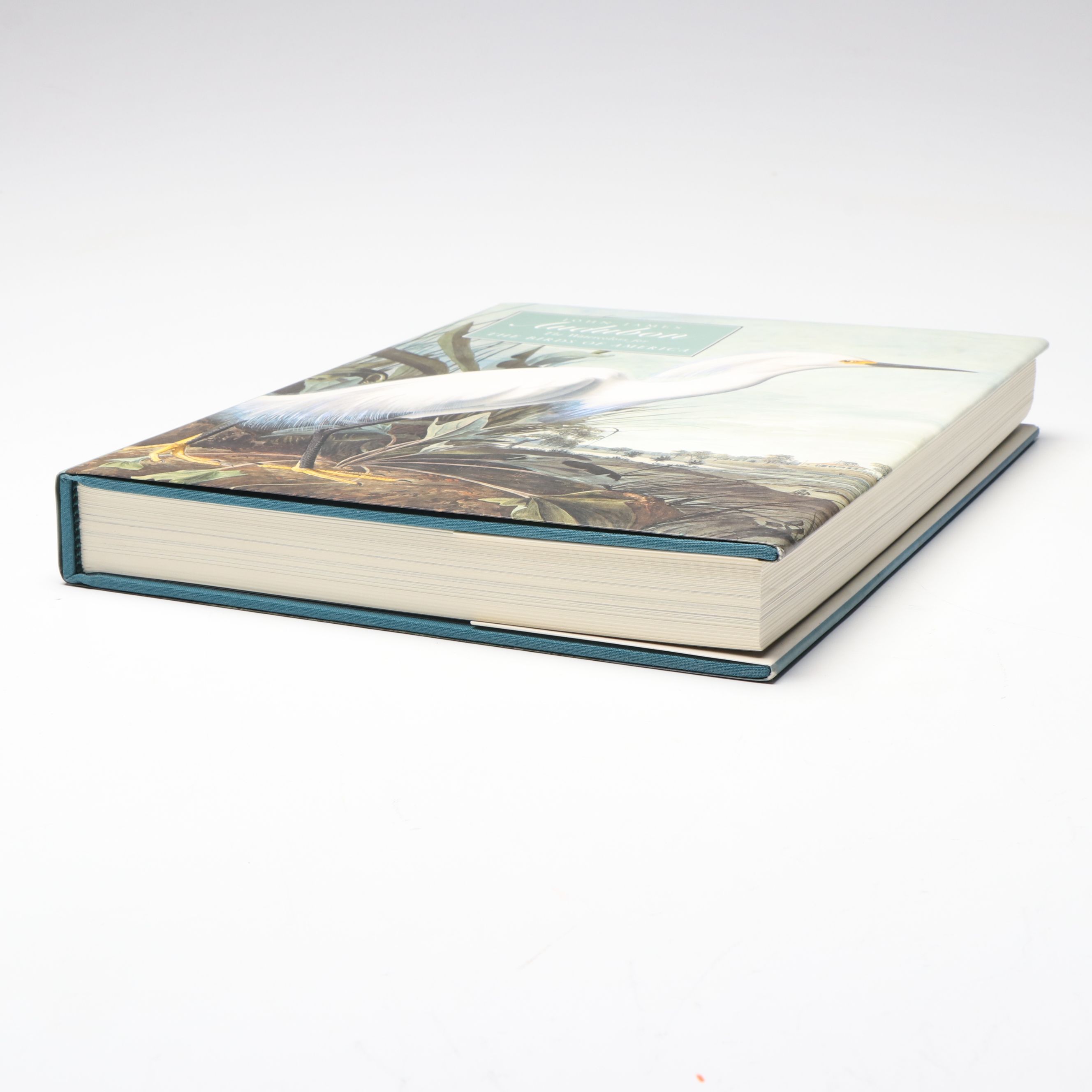 First Printing "John James Audubon: Watercolors for The Birds of America," 1993