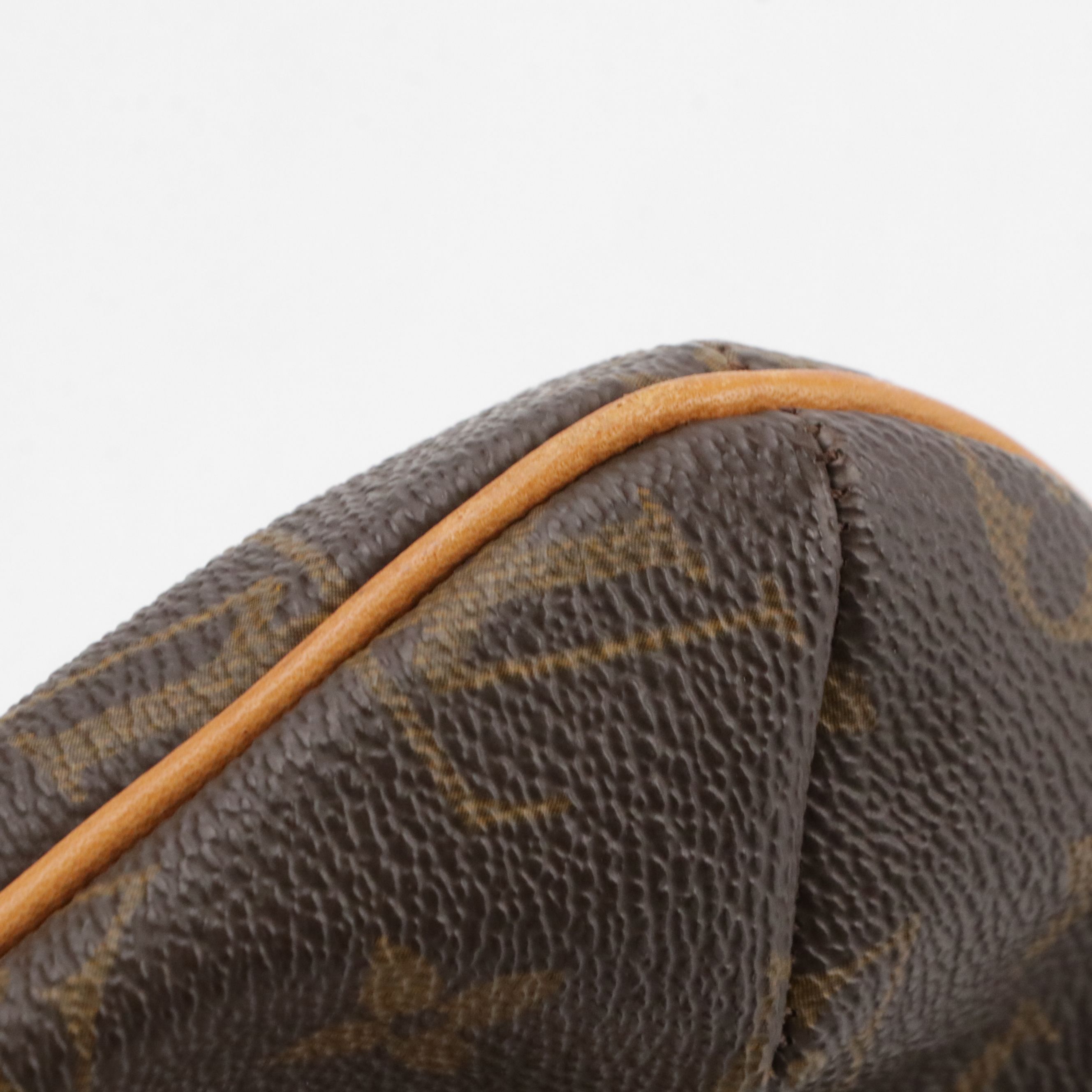 Louis Vuitton Musette Salsa Shoulder Bag in Monogram Canvas and Leather