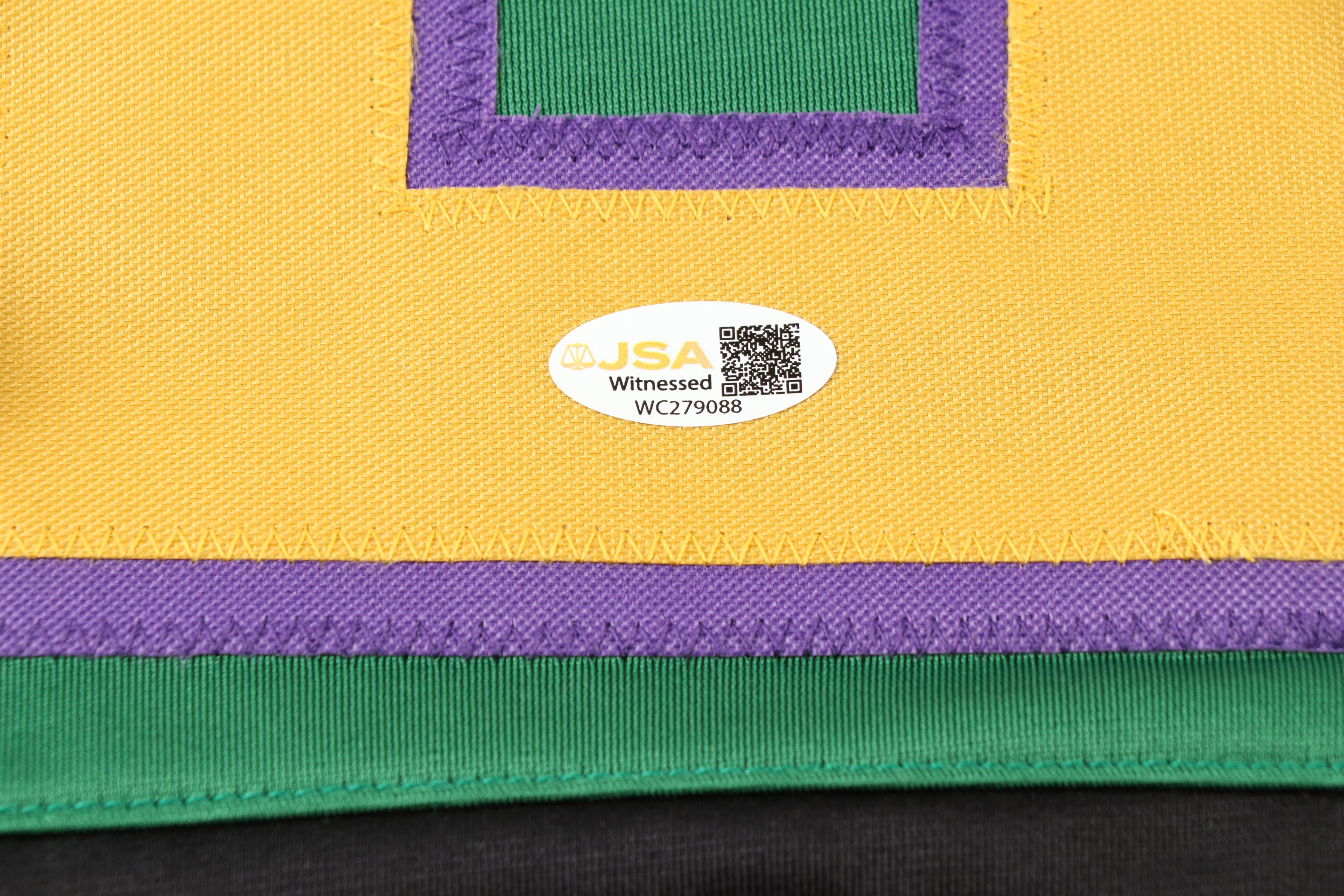 Emilio Estevez Signed “The Mighty Ducks: Bombay” Hockey Jersey, JSA