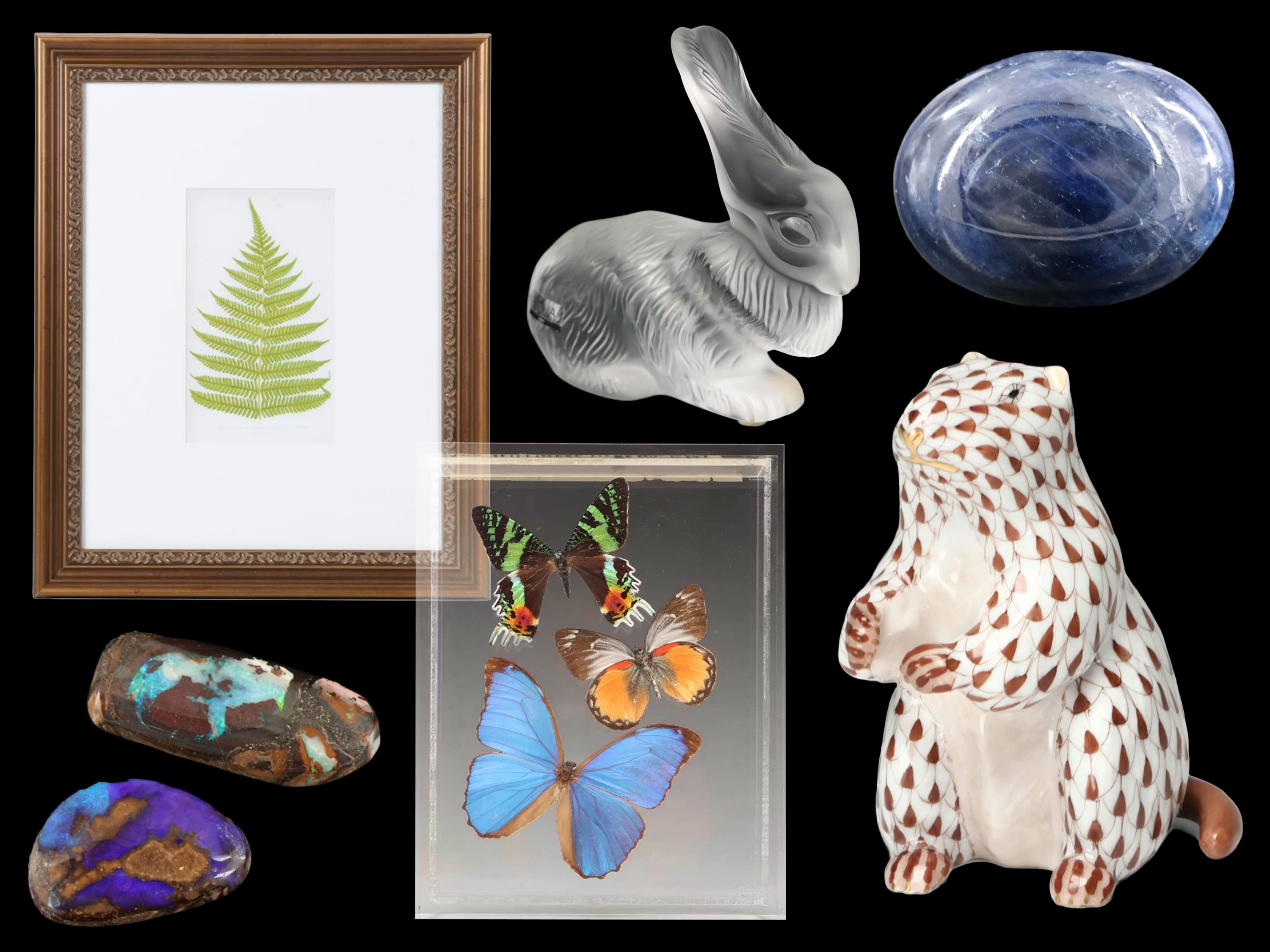 Wild Things & Wonder