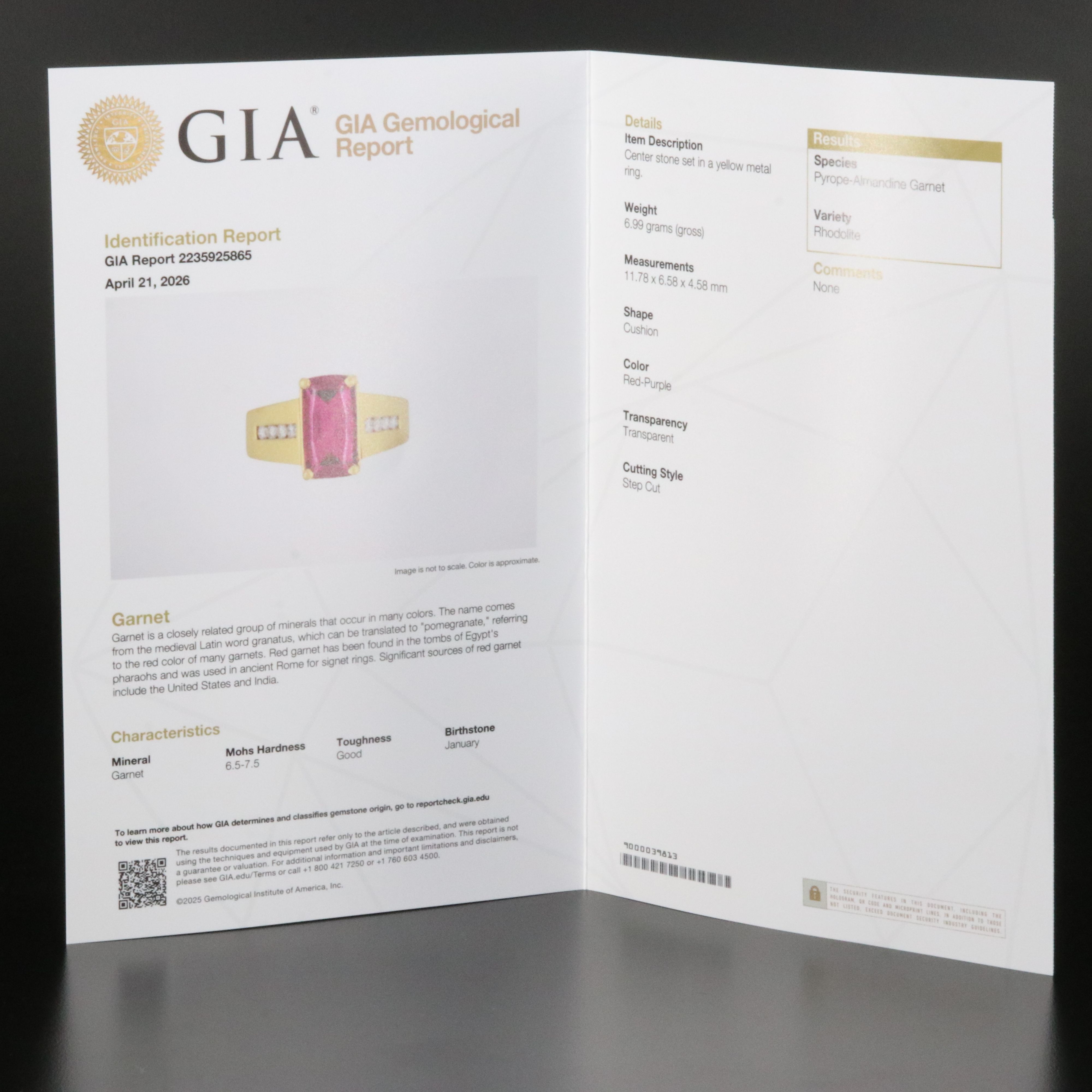 14K Garnet and Diamond Ring with GIA Report