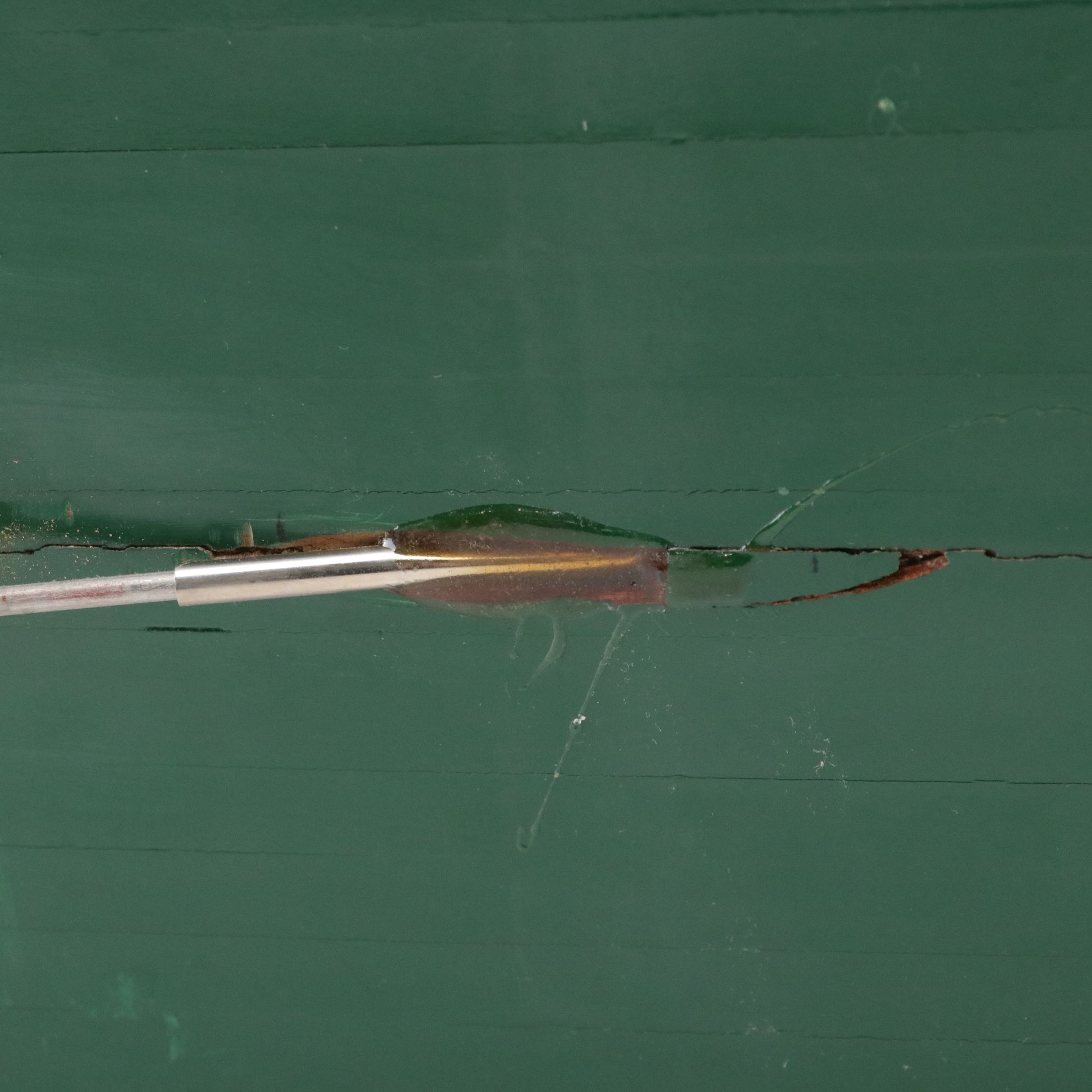 Battery Powered Speedboat Model with Other Boat Models